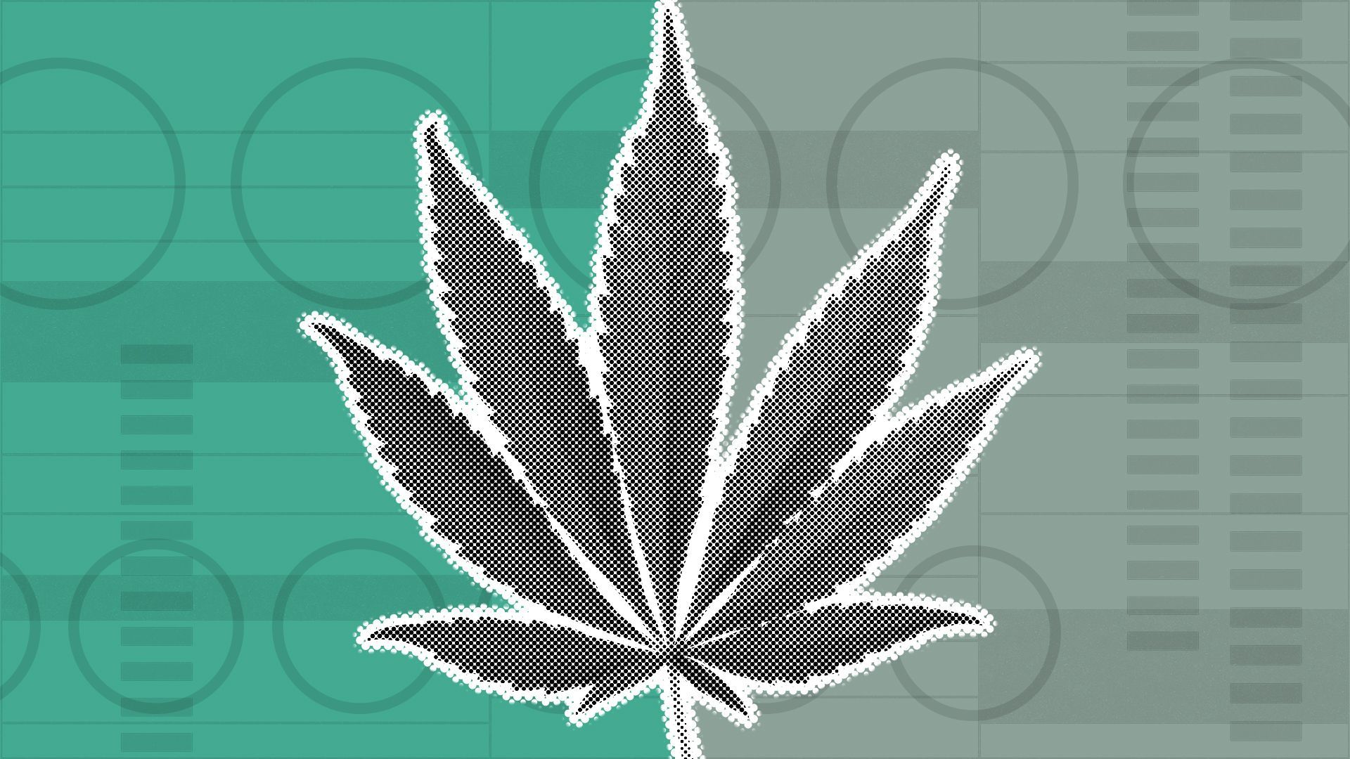 Illustration of a marijuana leaf on a background with ballot elements.