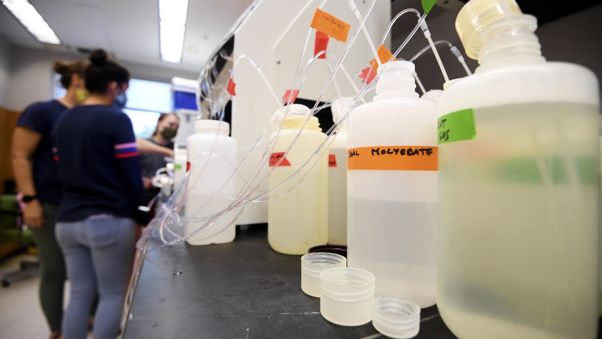 Students work on tests of water sampled near the Piney Point phosphate plant.
