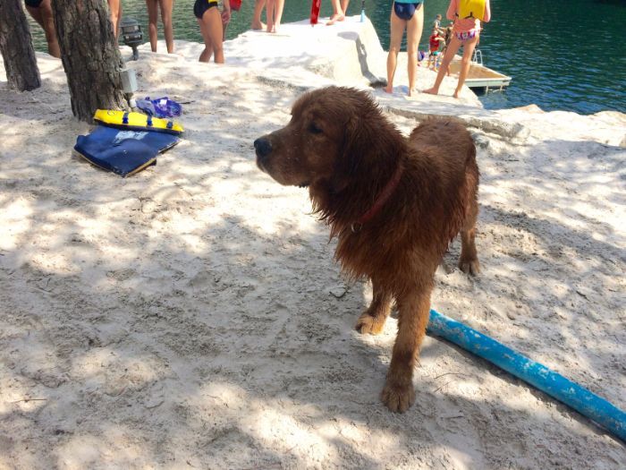the quarry at carrigan farms