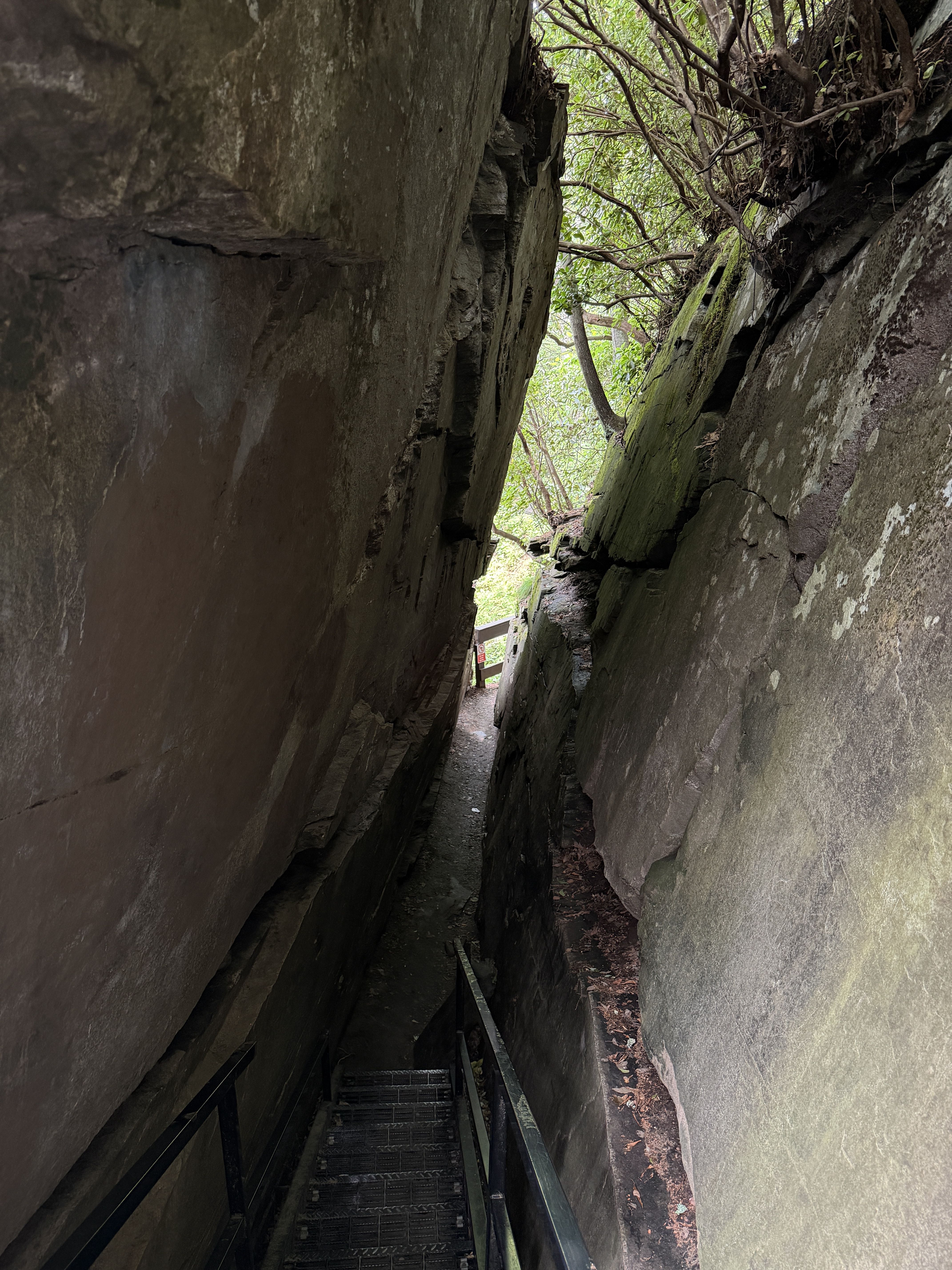 A narrow crevice between tall, mossy rock walls. A metal staircase traces the left side as green leaves and sunlight filter from trees above.