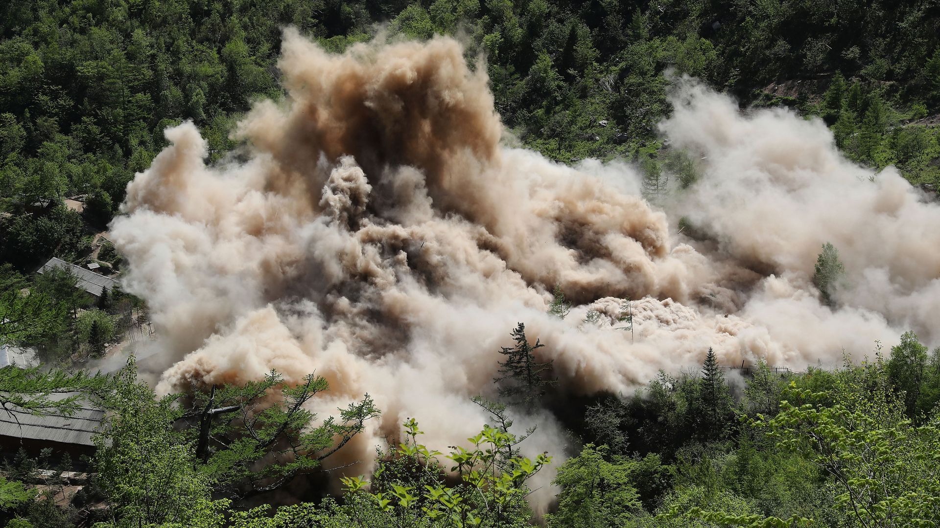 Brown and white smoke rises over green trees. Aerial view.