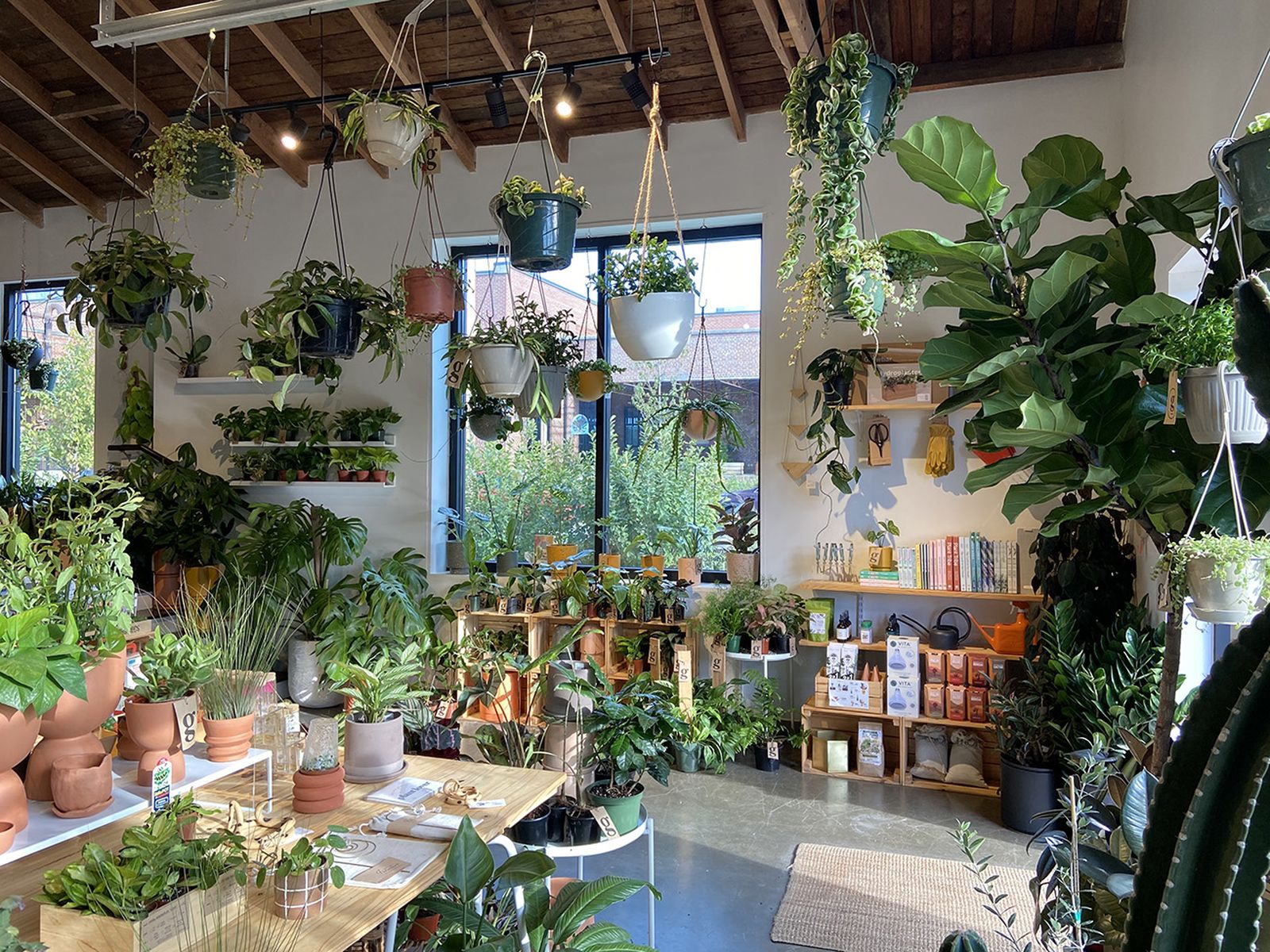 5 cool plant shops in Charlotte - Axios Charlotte
