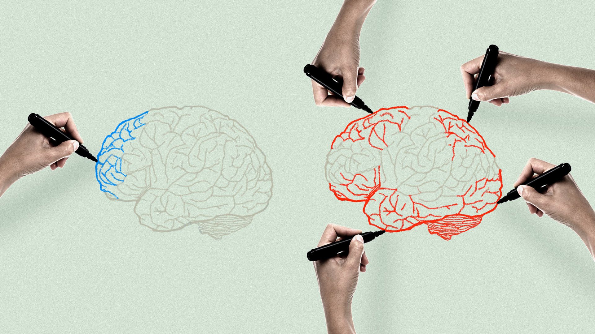 Illustration of hands drawing brains
