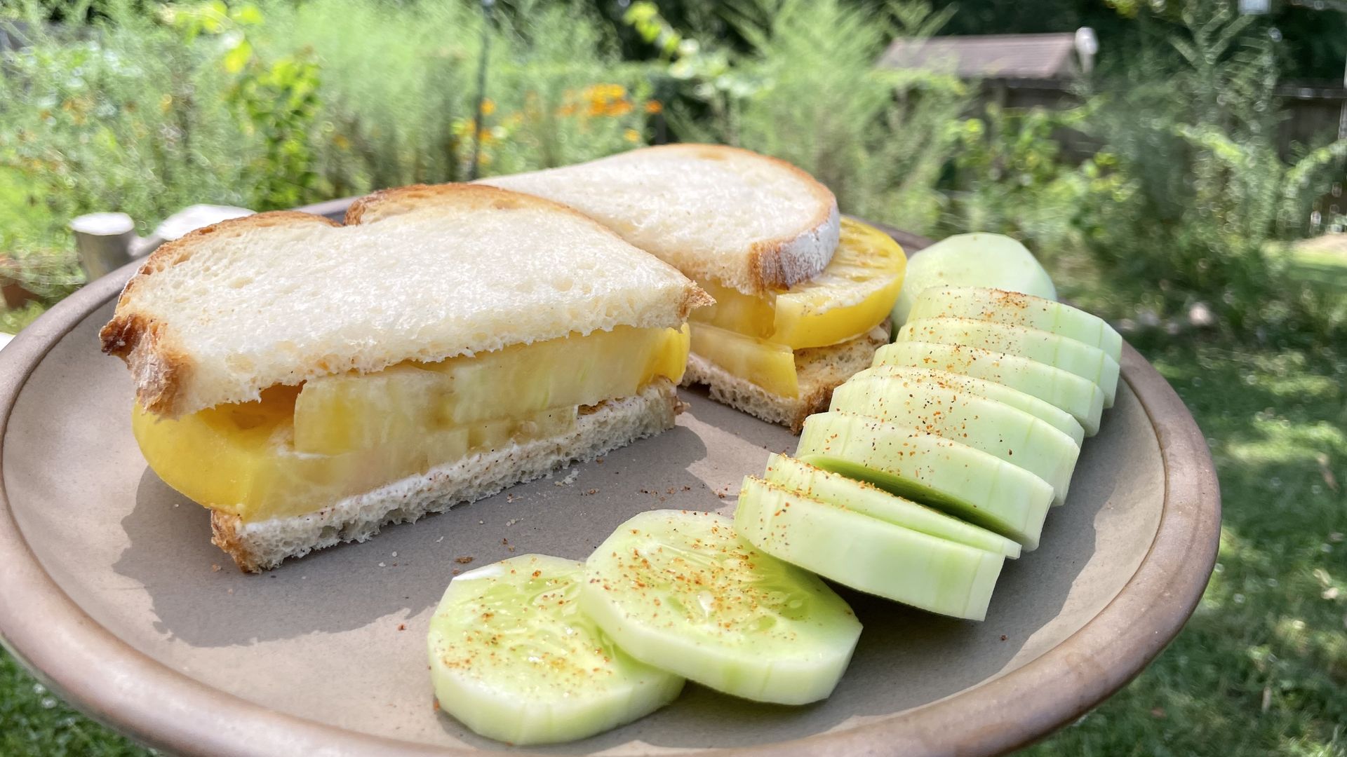 A tomato sandwich sits on a plate next to a sliced cucumber, with a garden out of focus in the background.