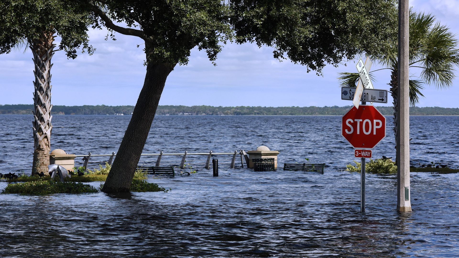 Photo of a red stop sign half submerged in flood water