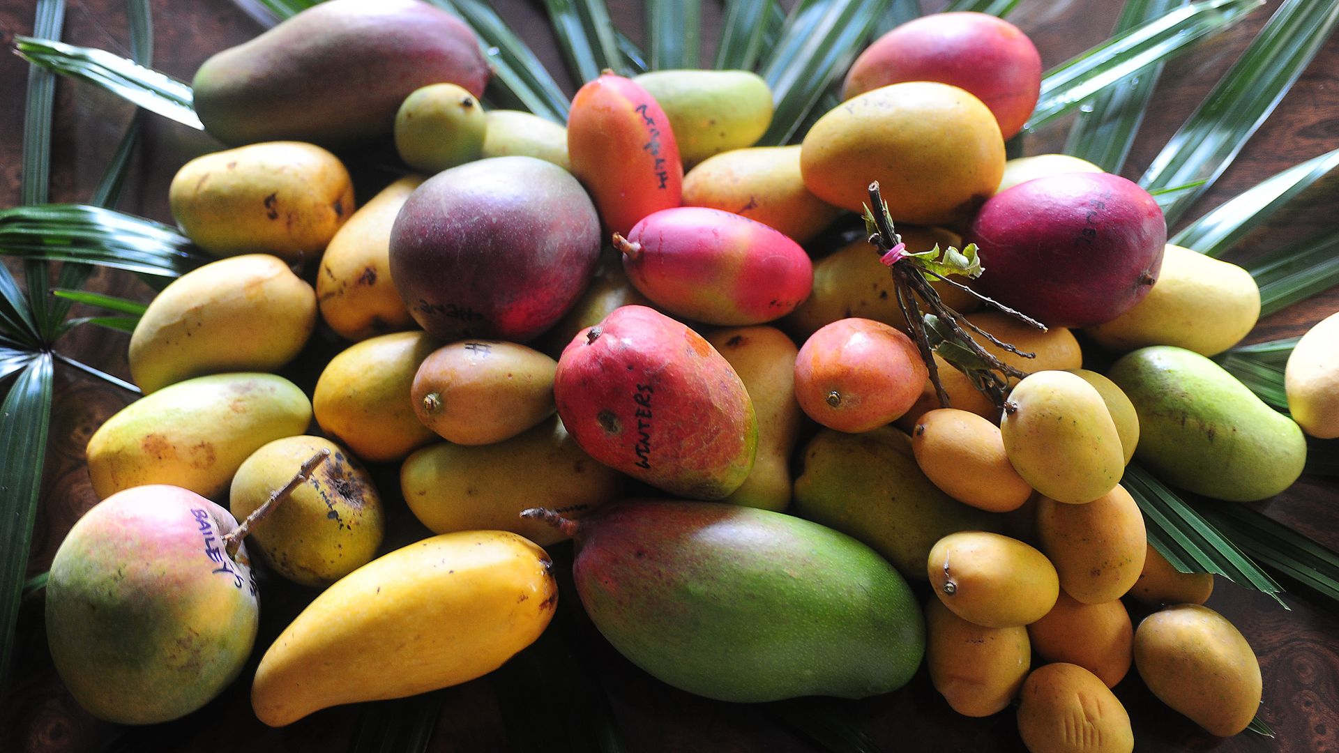 A group of mangoes.