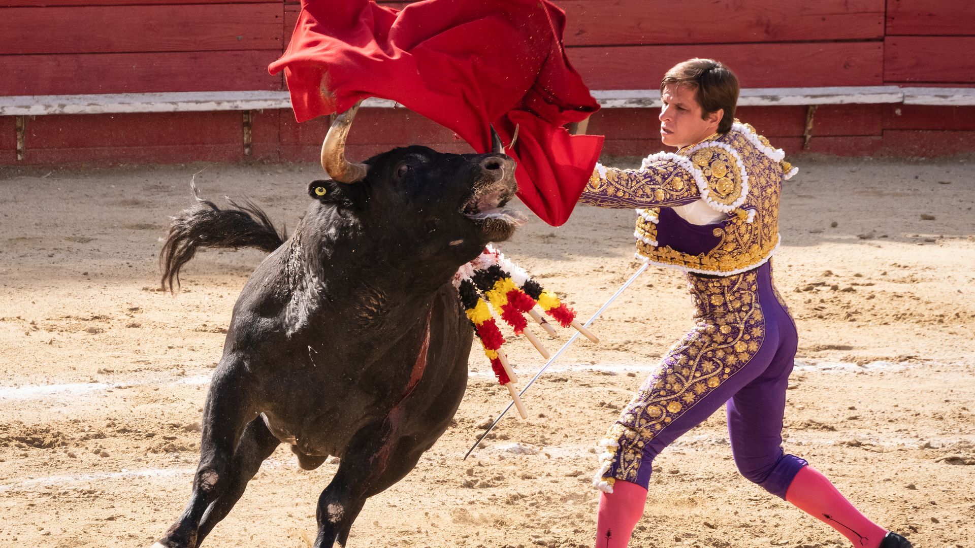 A matador in traditional purple regalia waves his red cape at a bull, who is charging toward him, during a bullfight in Mexico