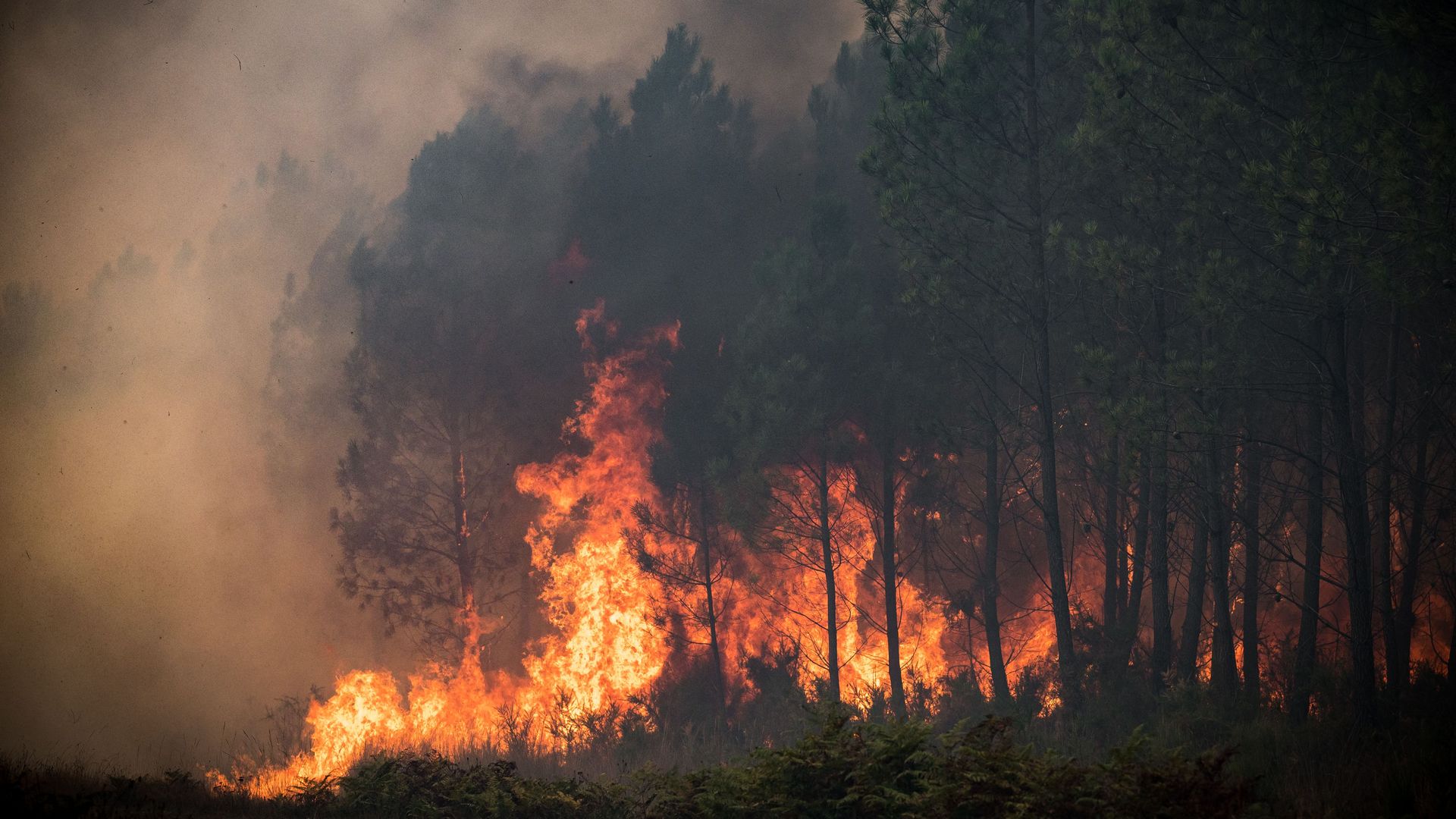 Forest fire burns in southwest France during September.