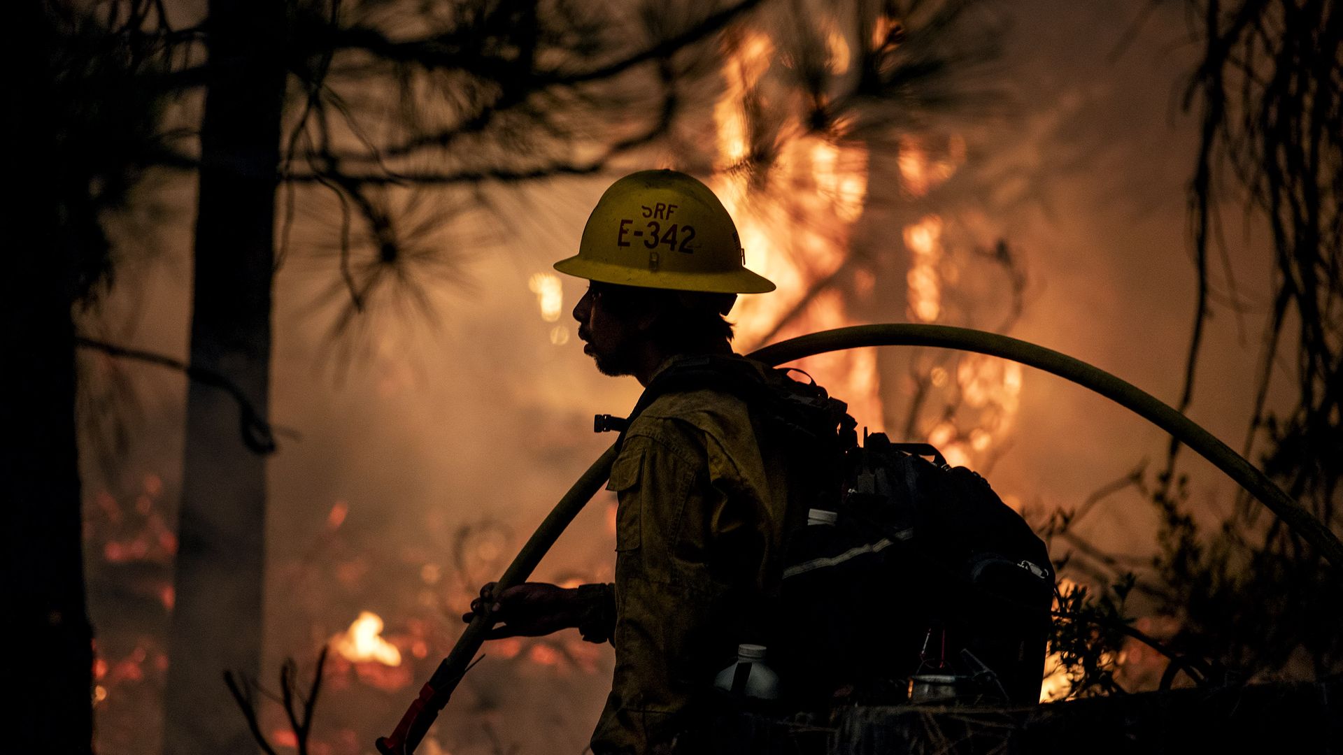 Forest Service firefighter 