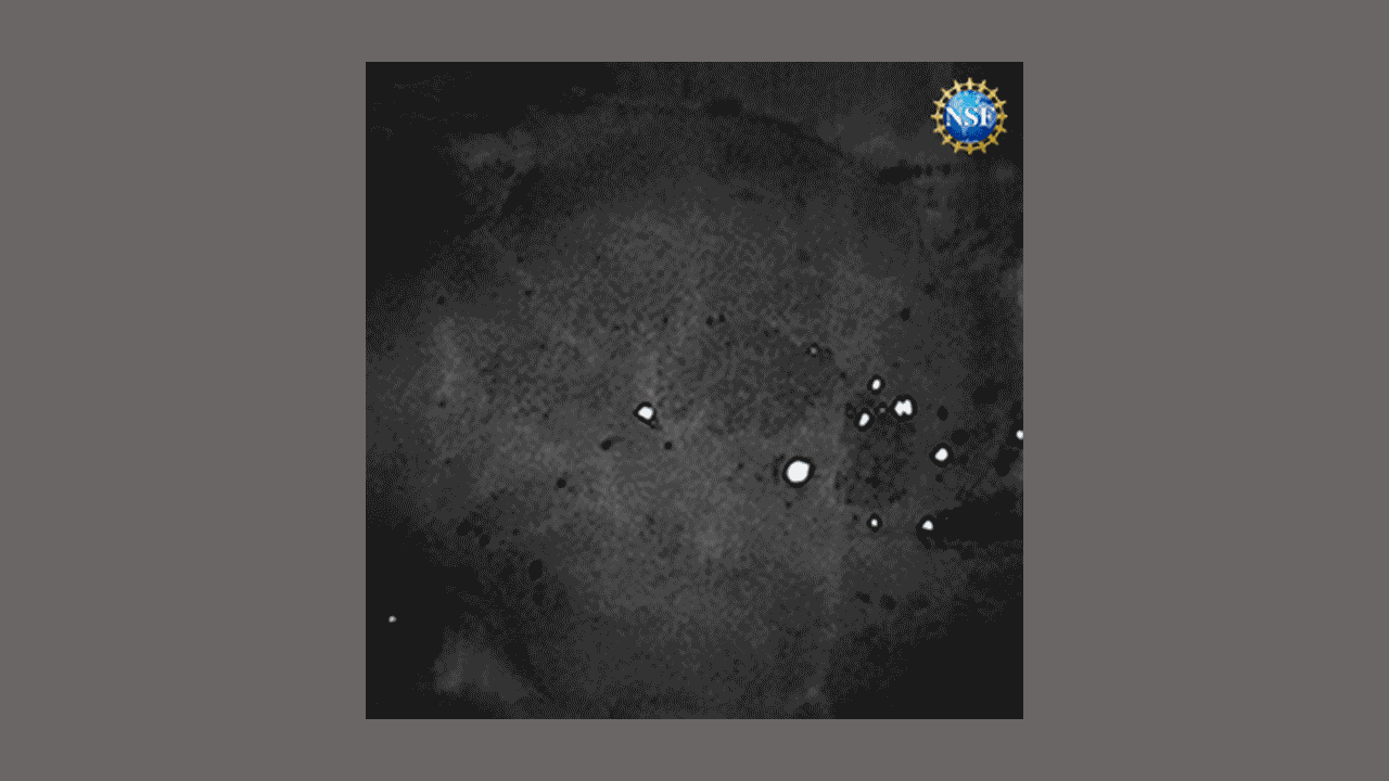 Time-lapse images of blood vessels in the brain of a sedated mouse, revealed by reversibly dyeing the tissues with FD & C Yellow 5 and using a technique called laser speckle contrast imaging. Credit: Stanford University/Gail Rupert/NSF