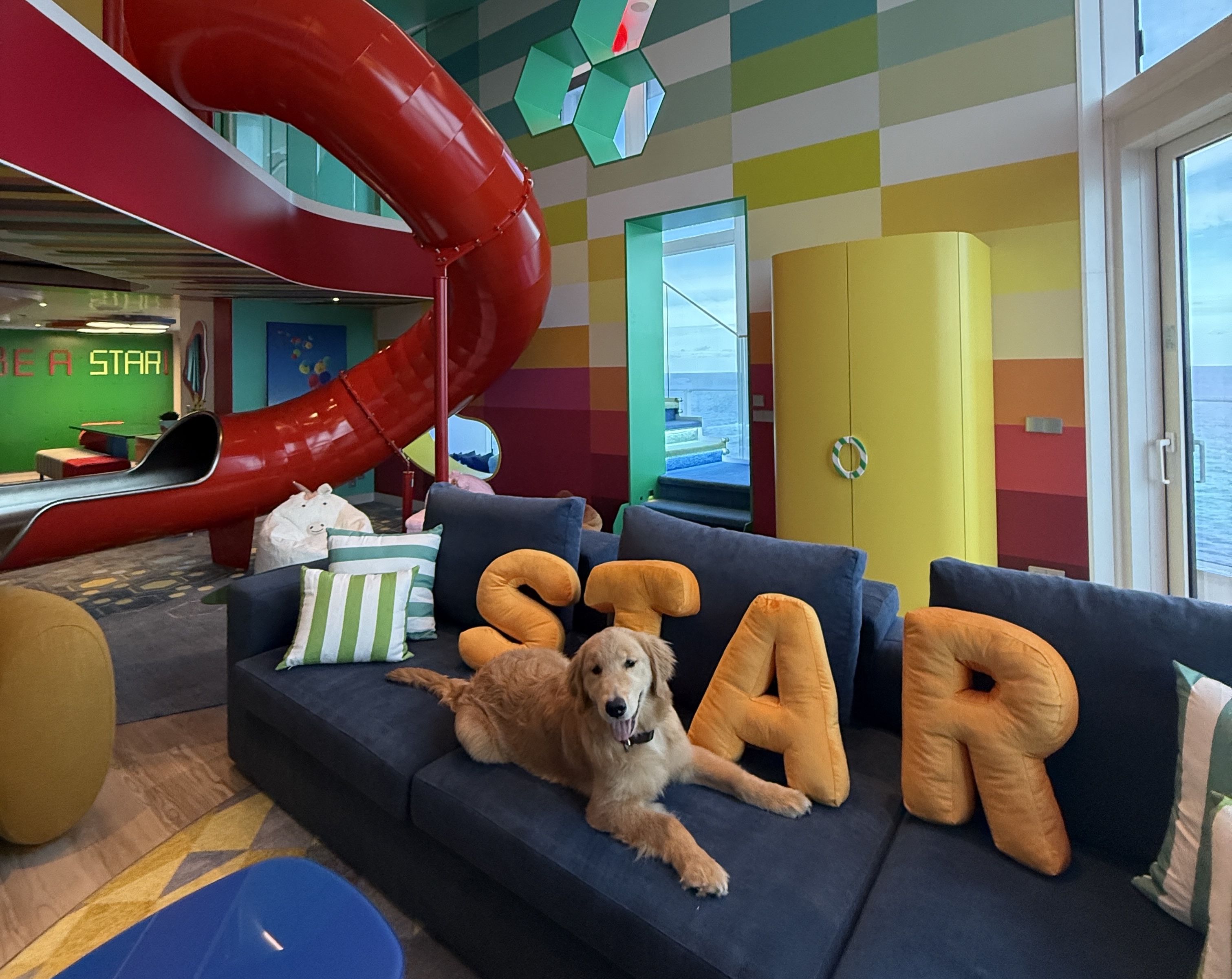 Golden retriever dog lying on navy sofa with large orange letter pillows spelling STAR. There's a red slide in the large room