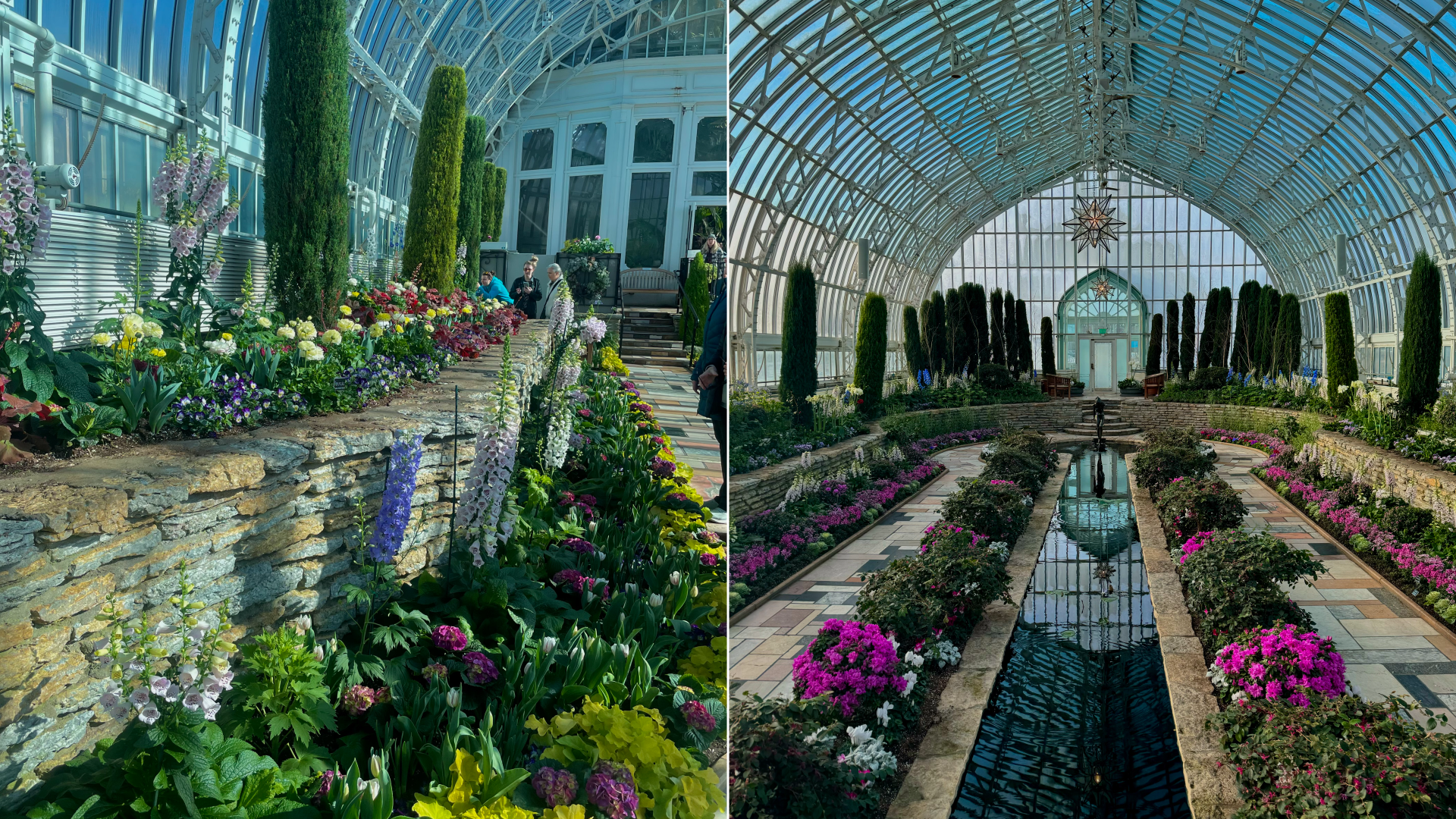 A garden of flowers.