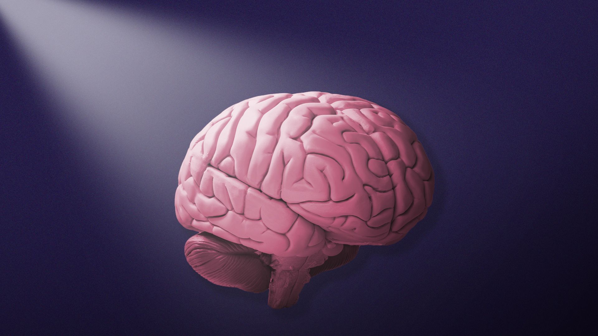 Illustration of a spotlight shining on a brain.