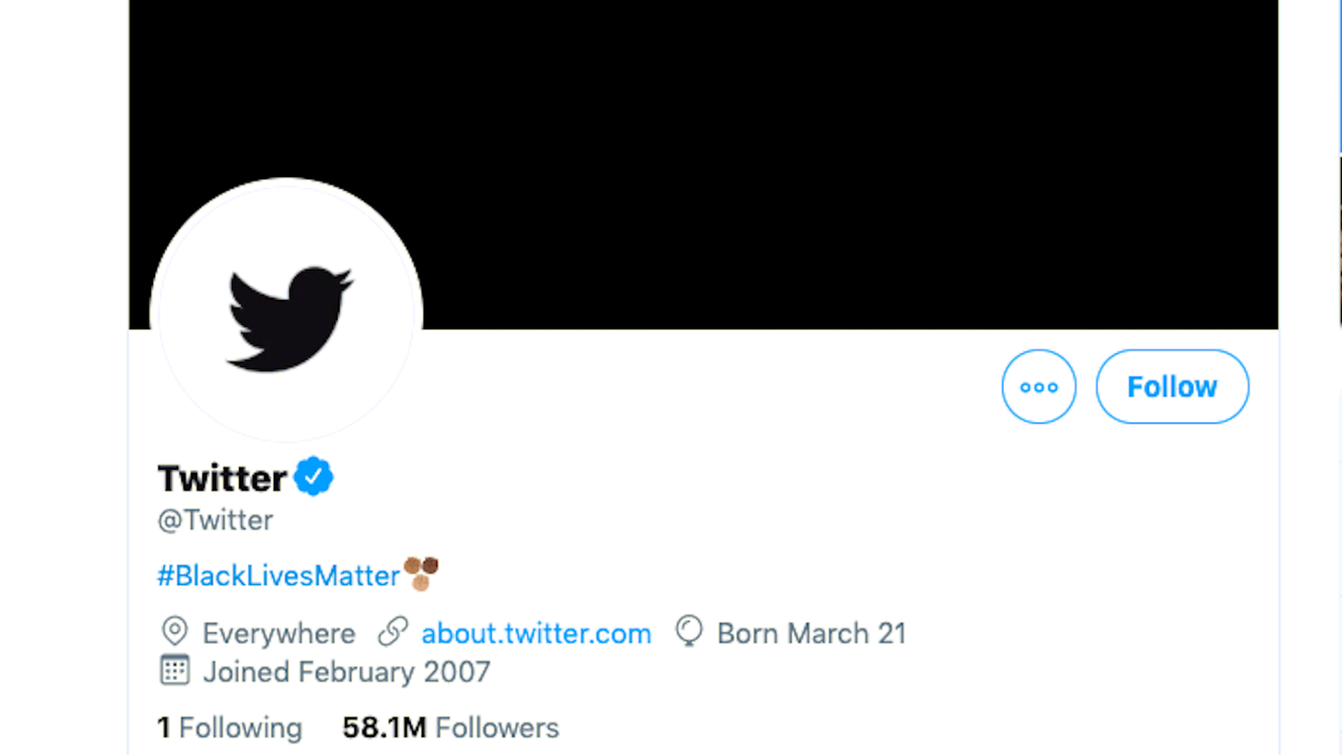 A screenshot of Twitter's profile with the #blacklivesmatter in the bio