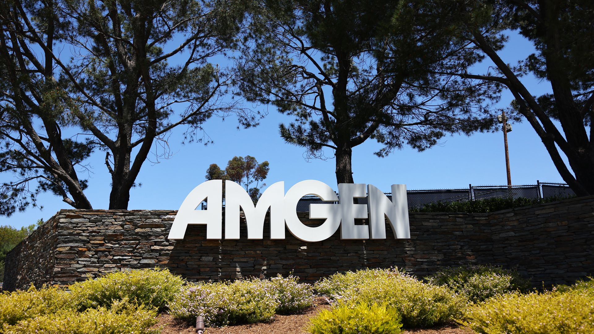 THOUSAND OAKS, CALIFORNIA - MAY 17: The Amgen logo is displayed outside Amgen headquarters on May 17, 2023 in Thousand Oaks, California. The Federal Trade Commission is suing to block the drugmaker from acquiring the smaller pharmaceutical company Horizon Therapeutics for $27.8 billion. (Photo by Ma