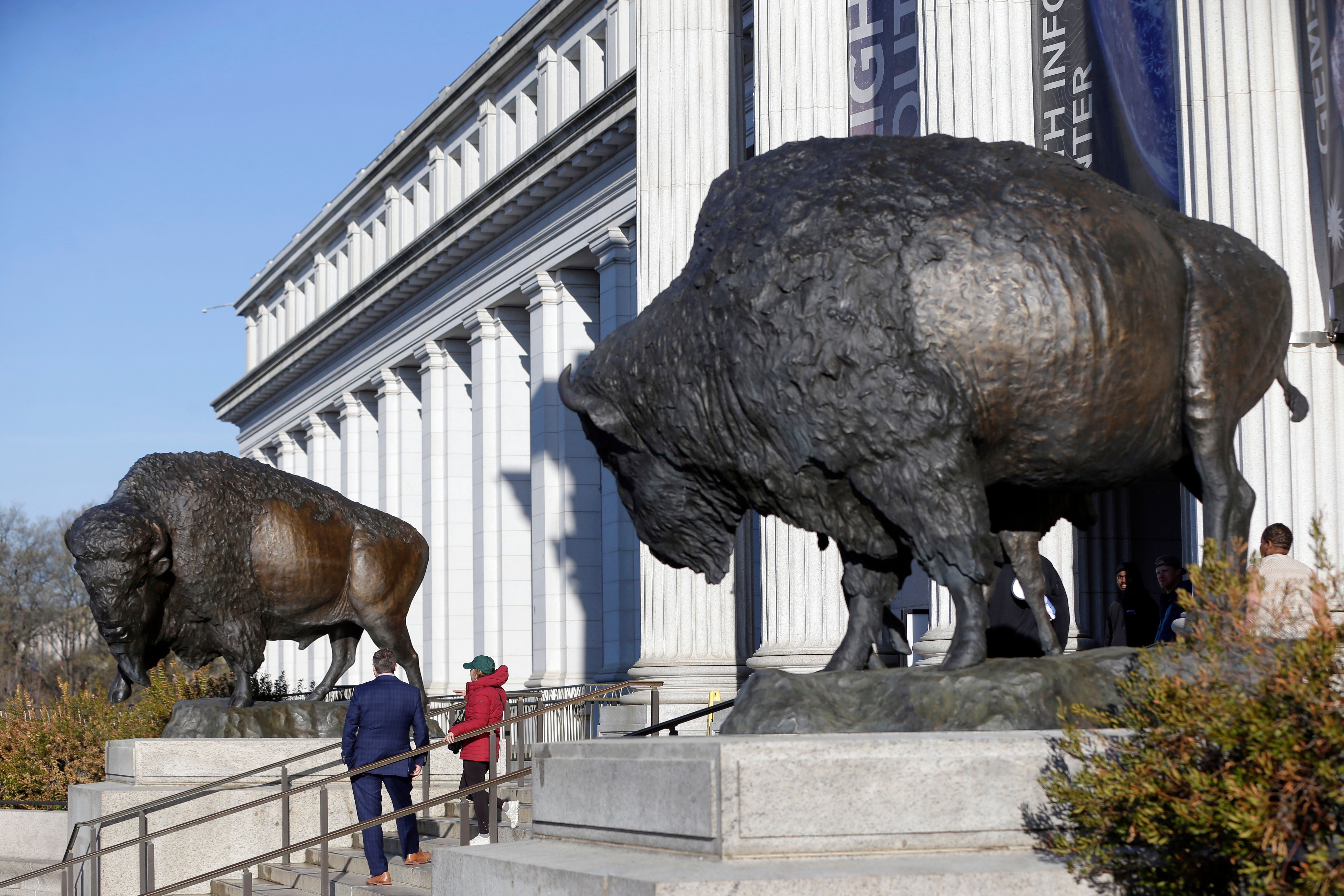 Bison statues cast in bronze are on permanent display outside the Smithsonian's National Museum of Natural History.
