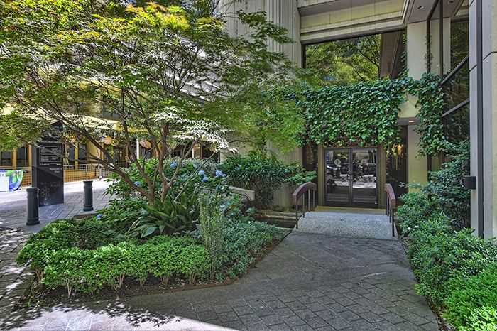 uptown luxury apartment panthers