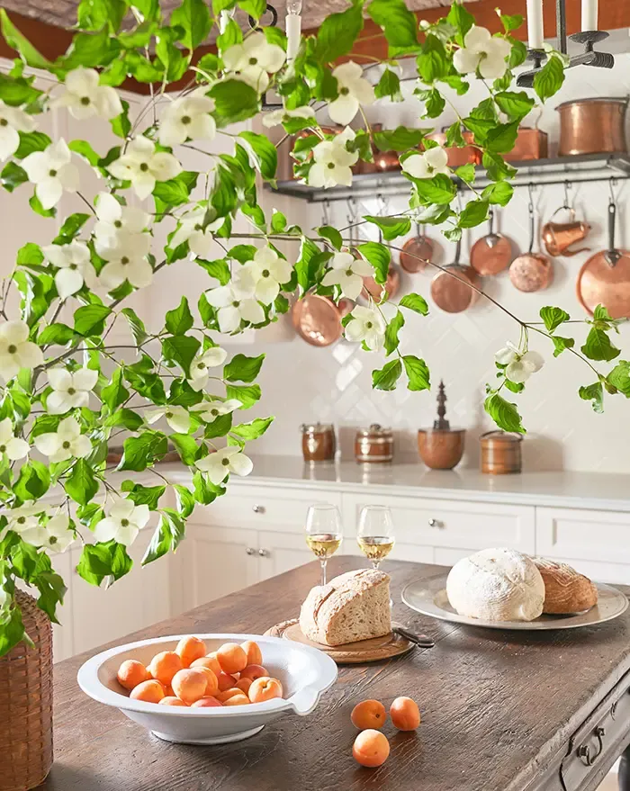 axios-charlotte-home-of-the-year-2022-scullery