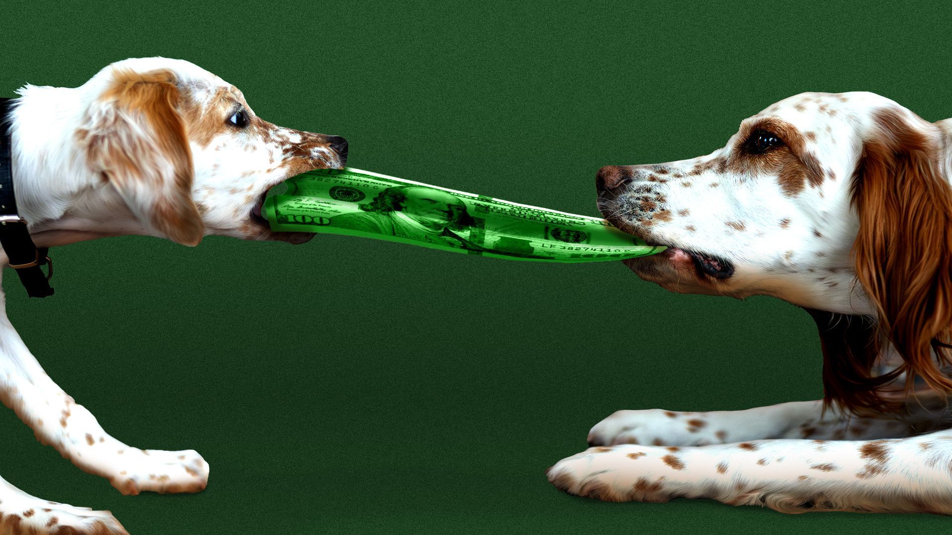 Illustration of two dogs fighting over a hundred-dollar bill.