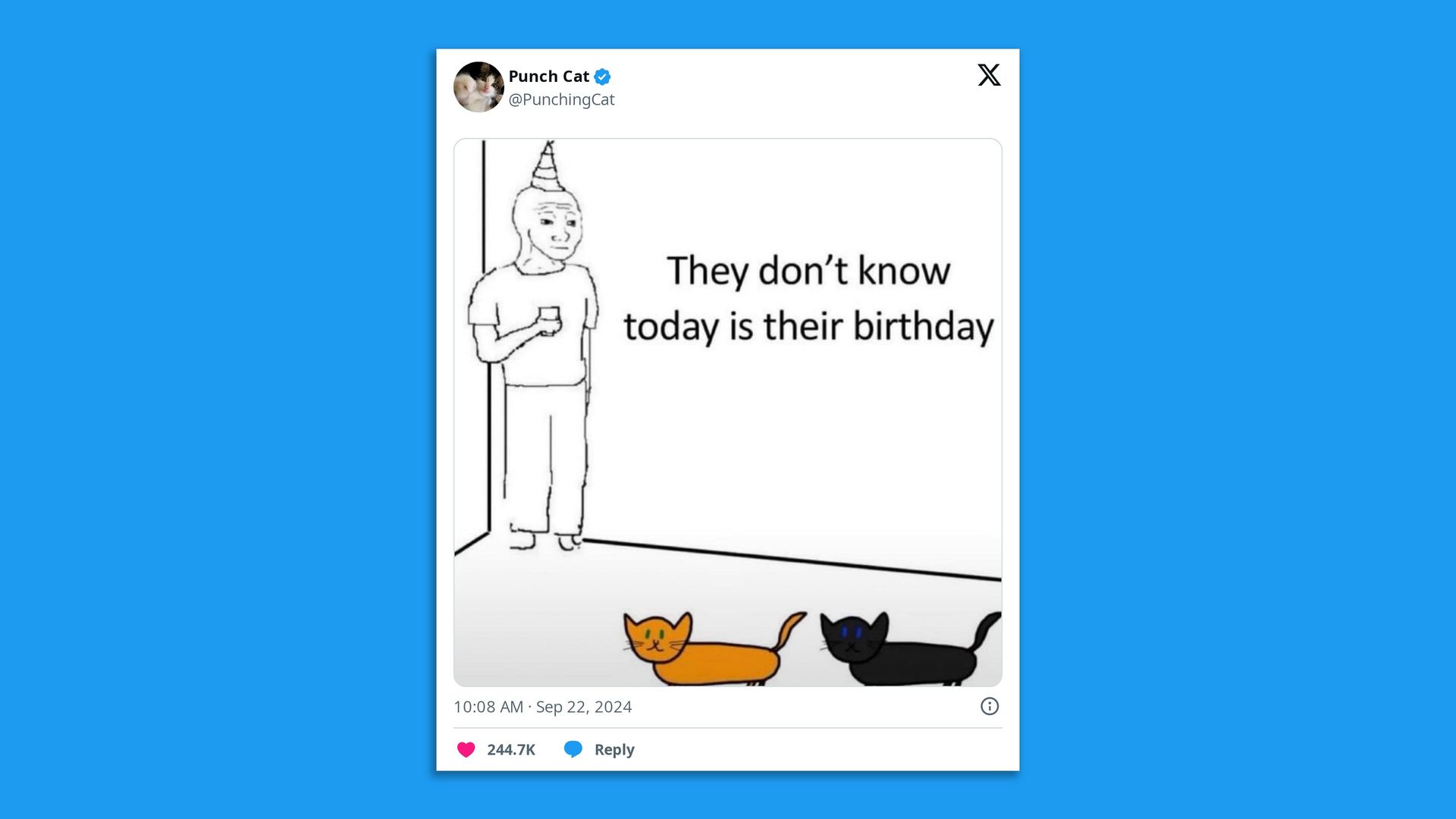 Screenshot of a tweet with a meme showing a person in a party hat and two cats that reads "They don't know today is their birthday."