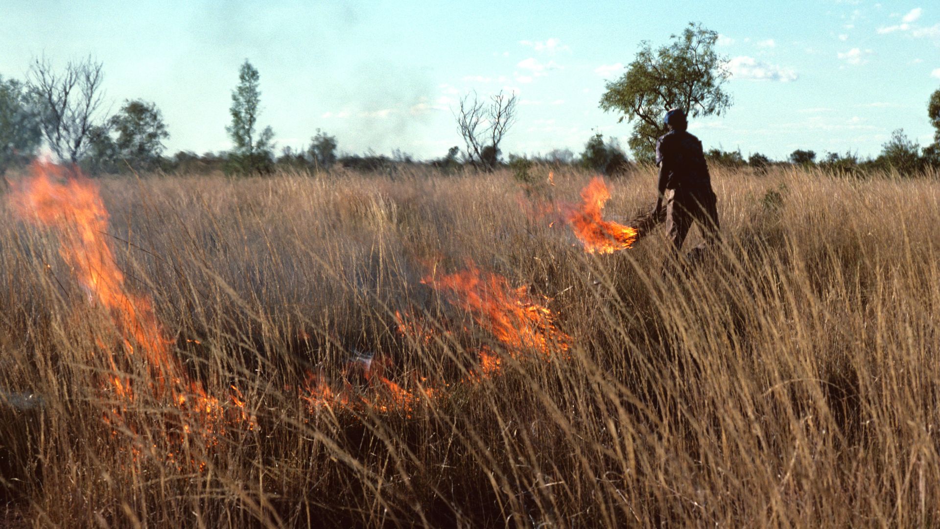 Warlpiri people burning spinifex to promote growth. Tanami Desert, Northern Territory, Australia.