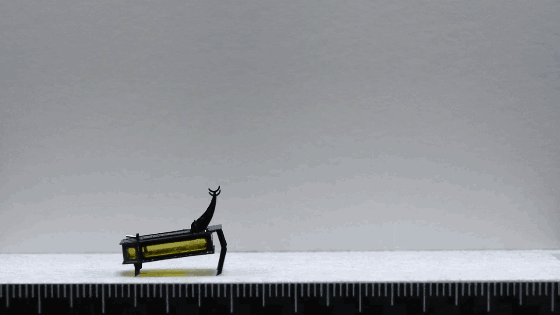 Video of robot beetle