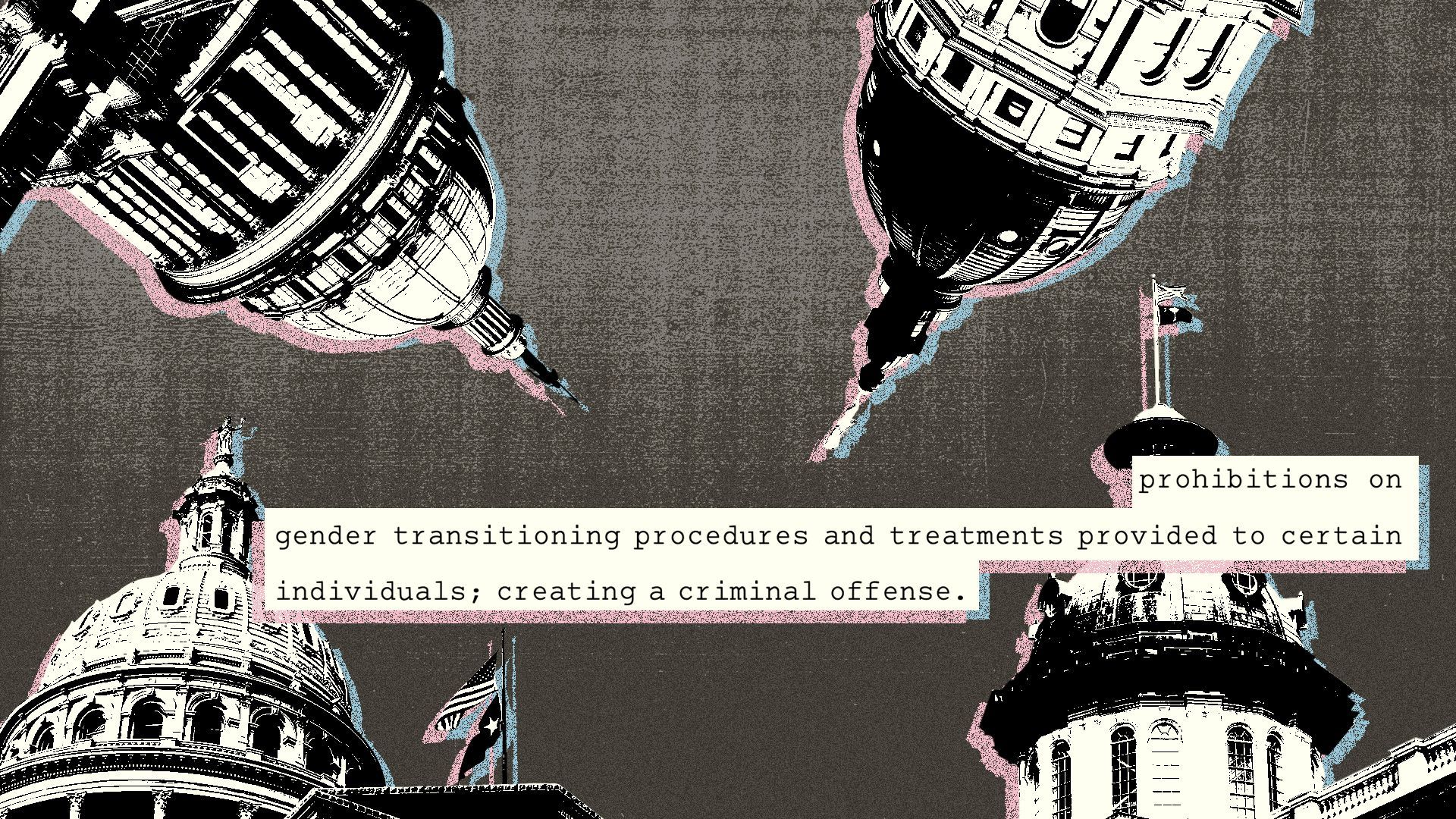 Illustrated collage of the Texas, South Carolina, Oklahoma and Kansas Statehouses collaged with snippets from bills.