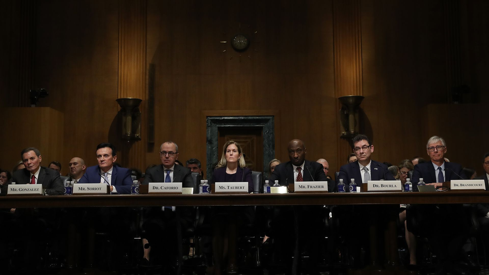 Health care ceos testifiying in congress