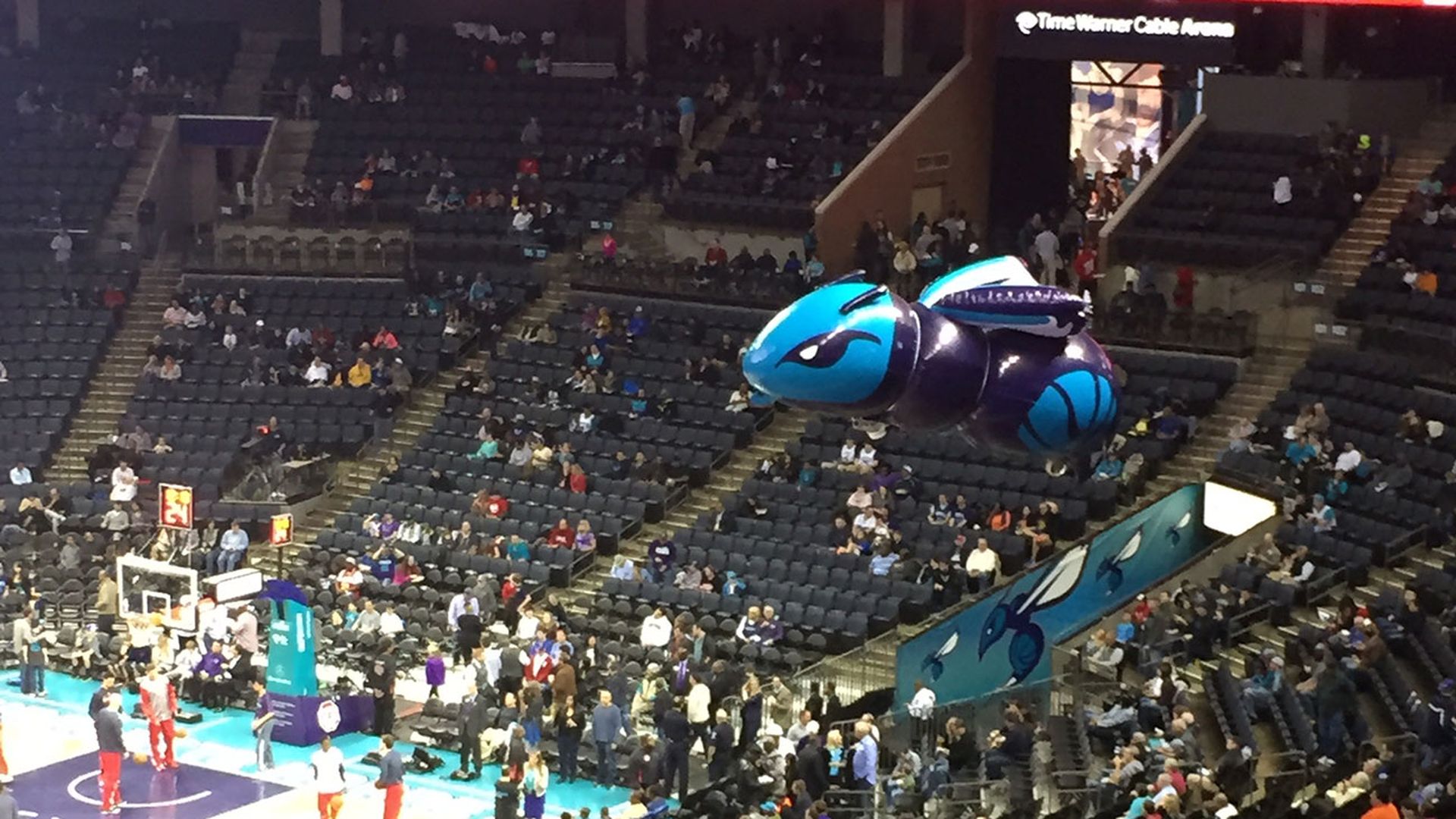 hornet-buzz-charlotte-nc