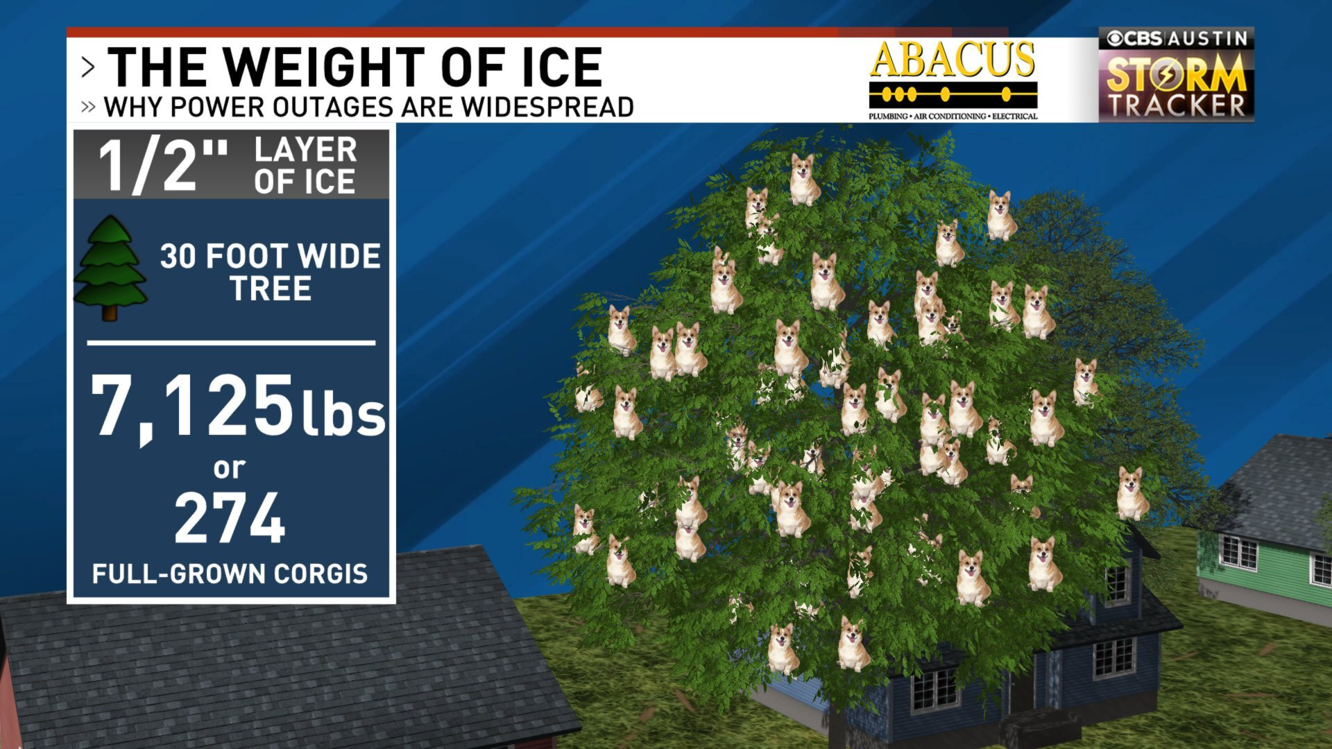 Graphic showing corgis in a tree to illustrate weight of ice