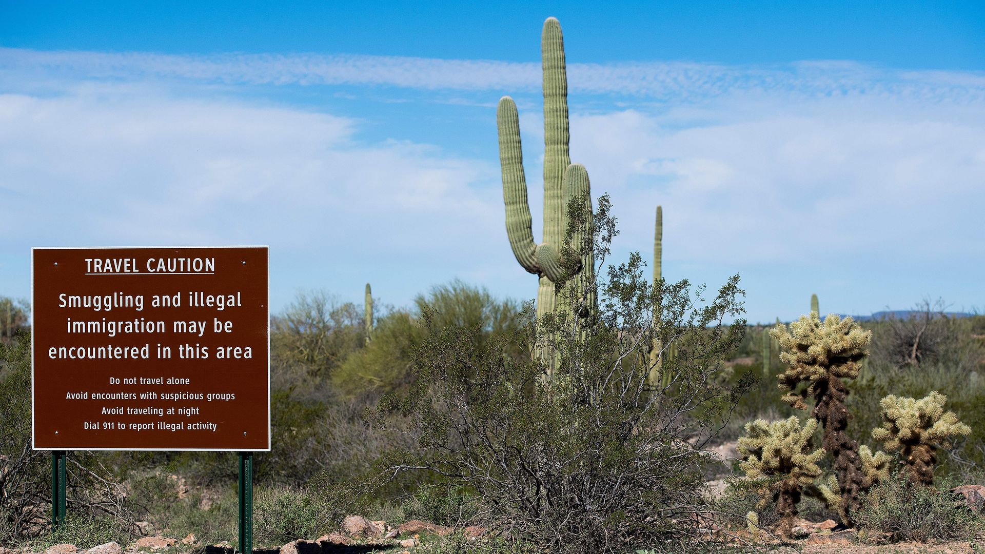 This image shows a tall cactus standing to the right of a sign that reads "Travel caution: Smuggling and illegal immigration may be encountered in this area"