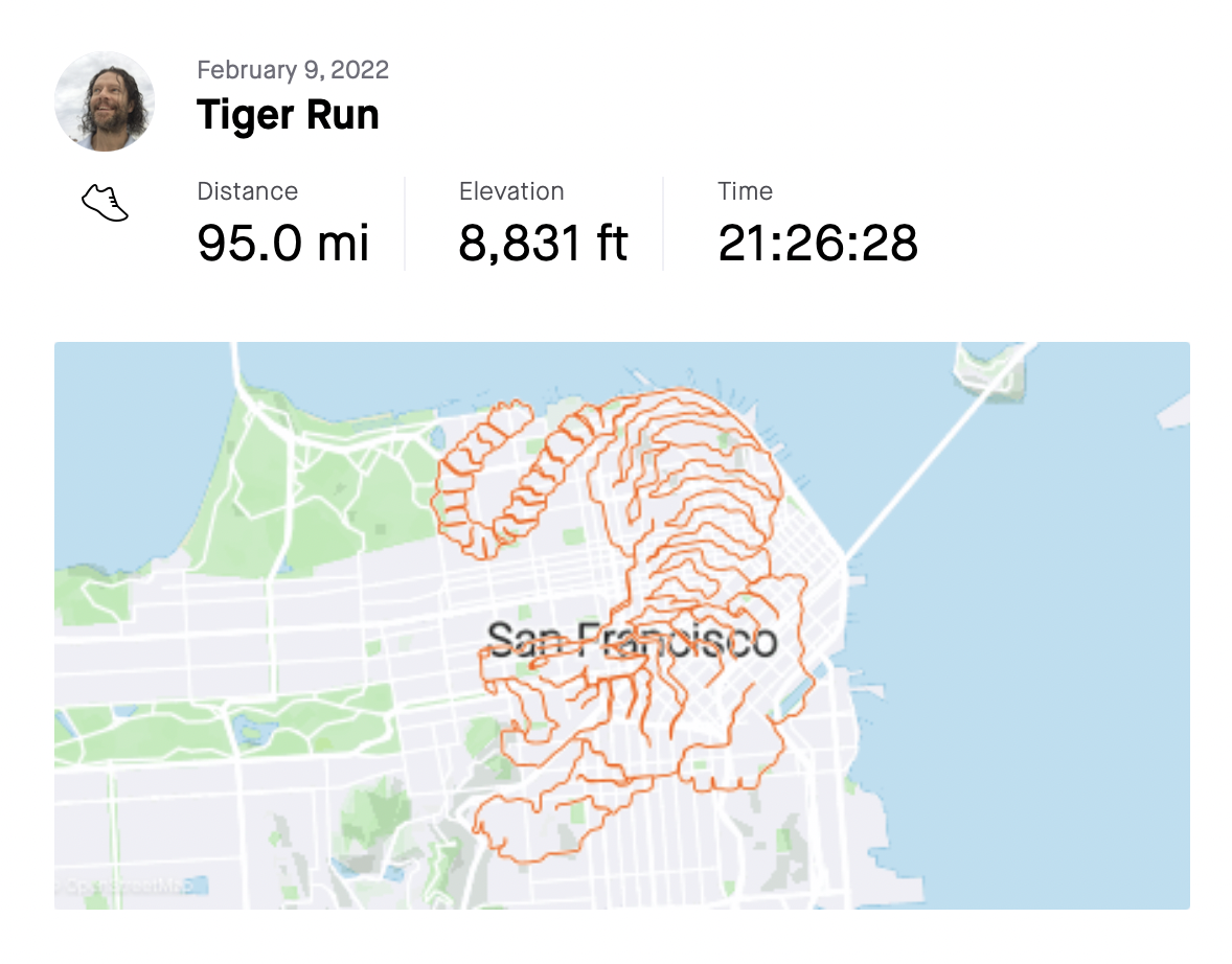 An image of a tiger created using a Strava run map