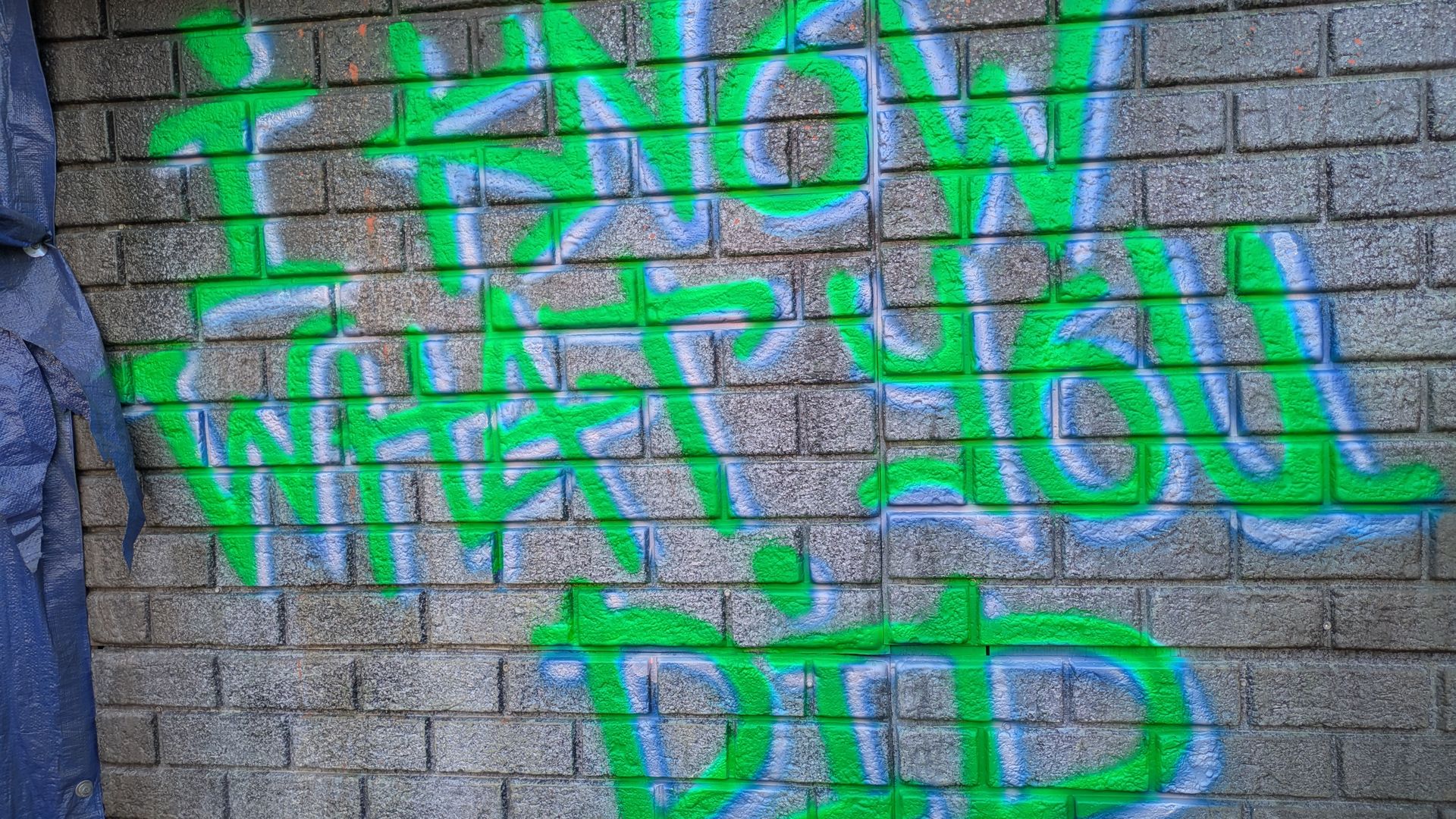 Neon green graffiti with blue outlines on a gray brick wall; a blue tarp on the left, small plants at the bottom, and orange specks across the surface.