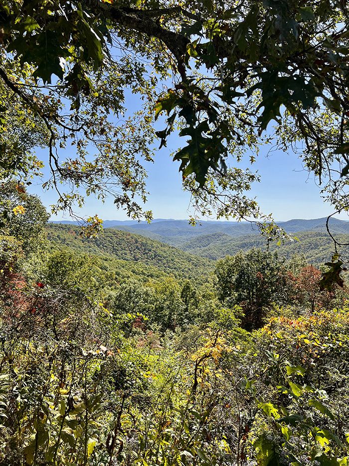 blue ridge views