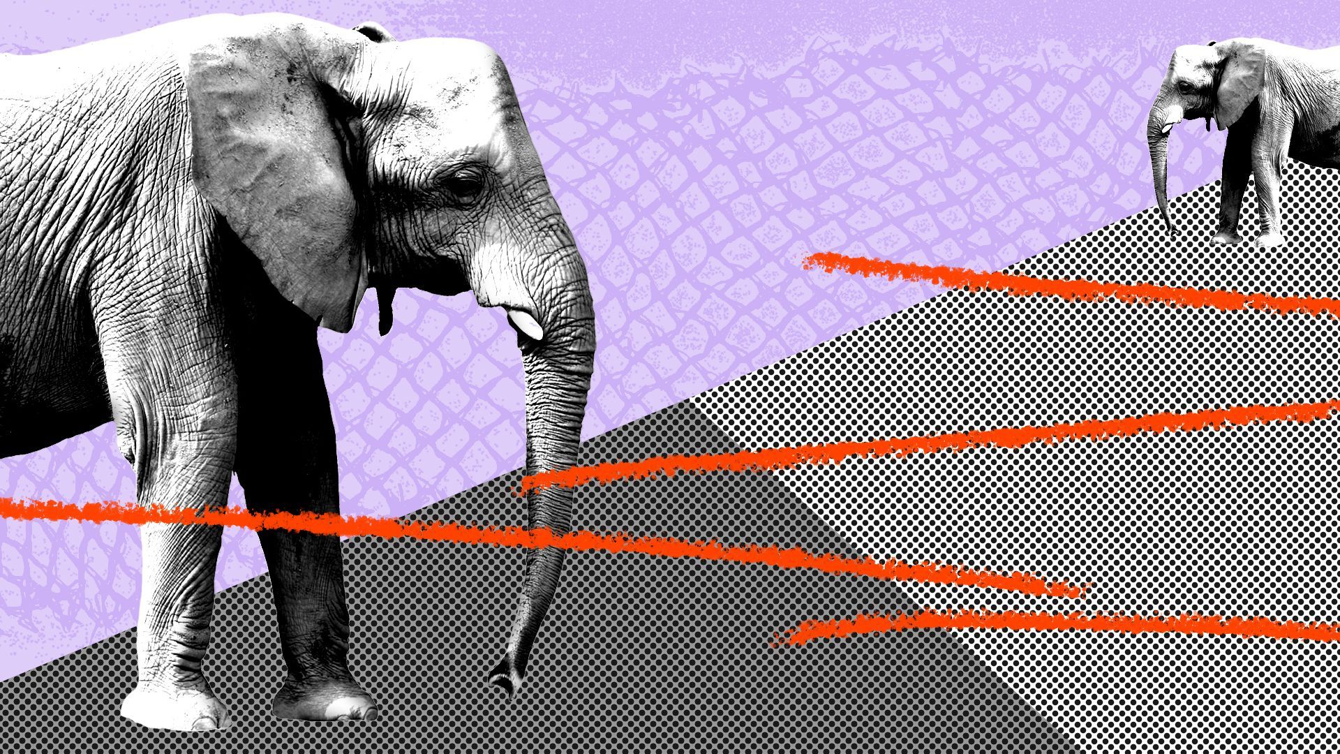 Illustration of two separated elephants with abstract shapes and textures.