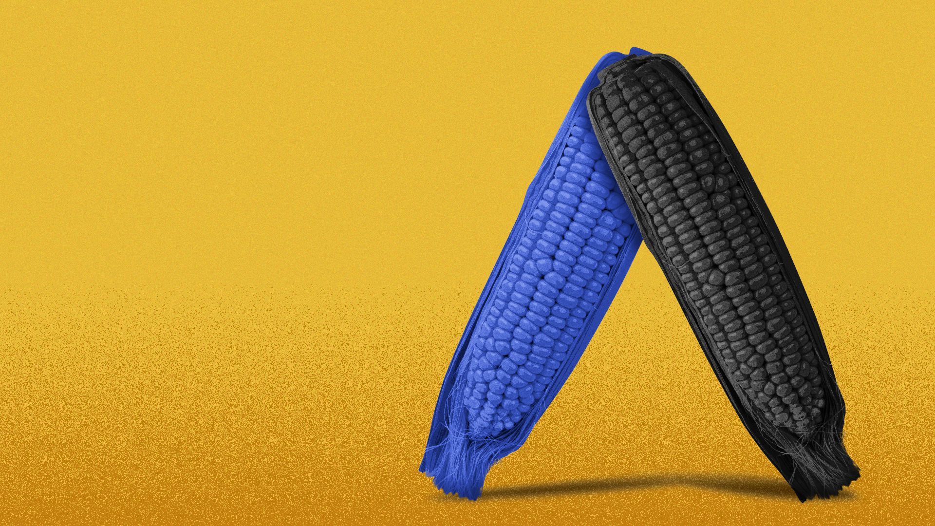 Illustration of the Axios logo made out of corn.