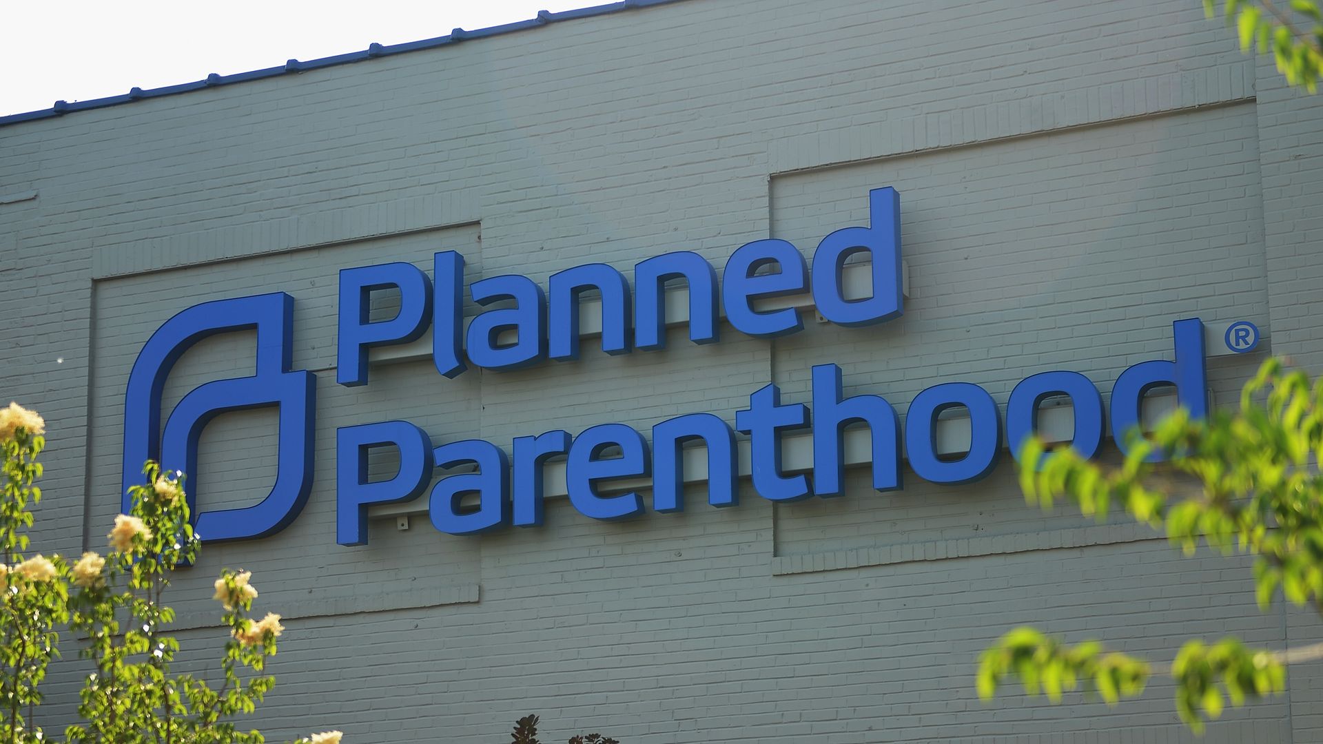 This image shows the Planned Parenthood logo on the side of a white building on a sunny day, with two trees framing the sign.