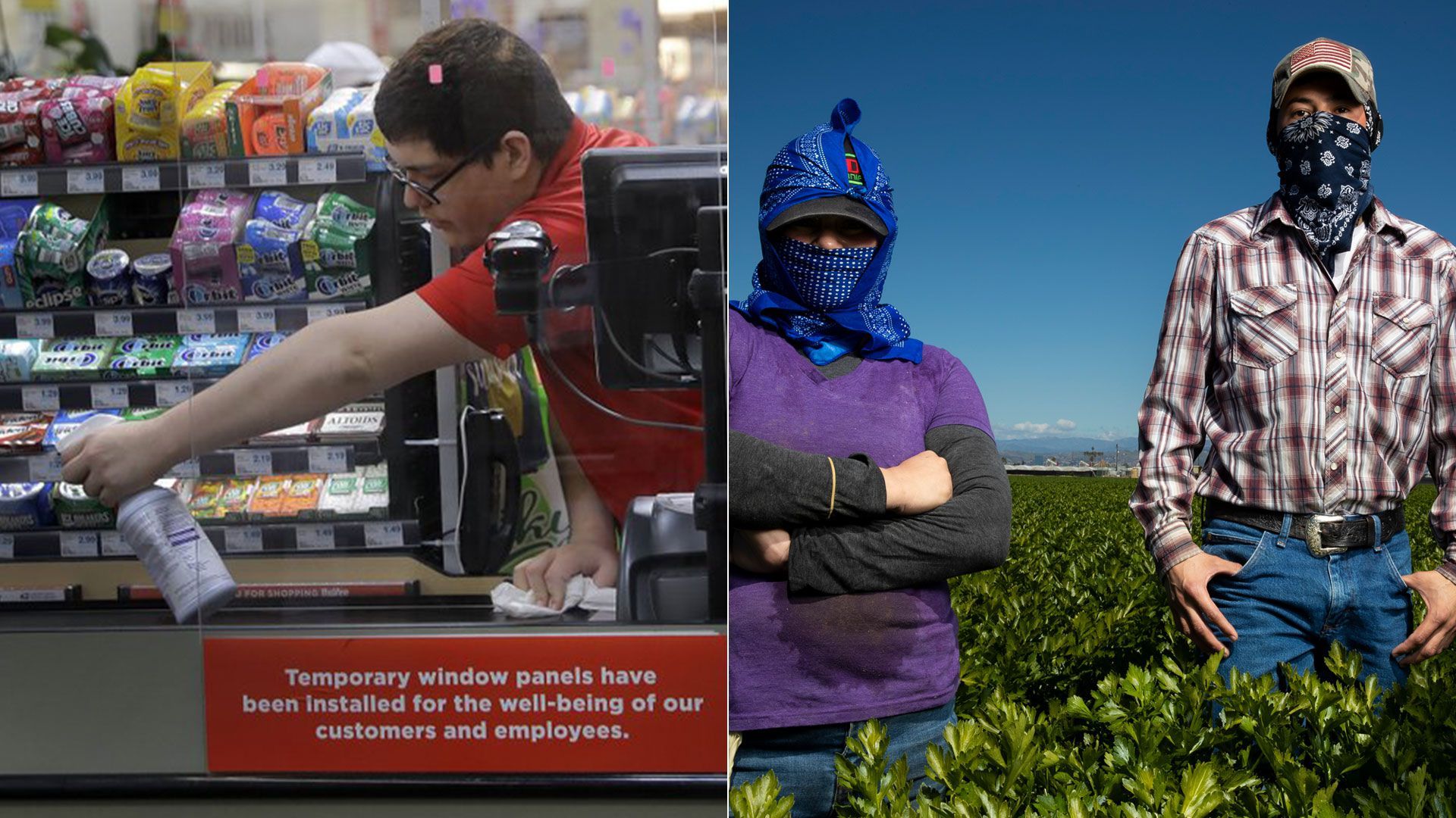 American grocery store workers and farmers