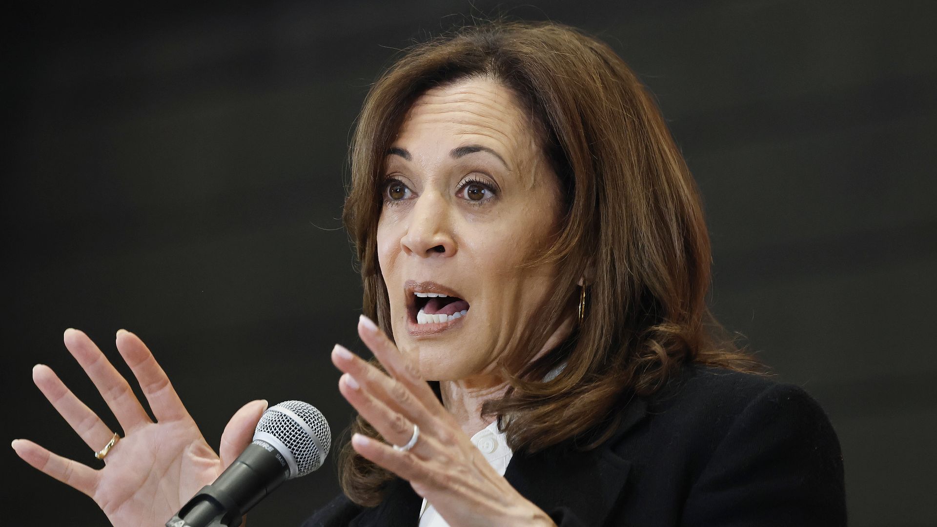 Kamala Harris speaks into a microphone and gestures with her hands.