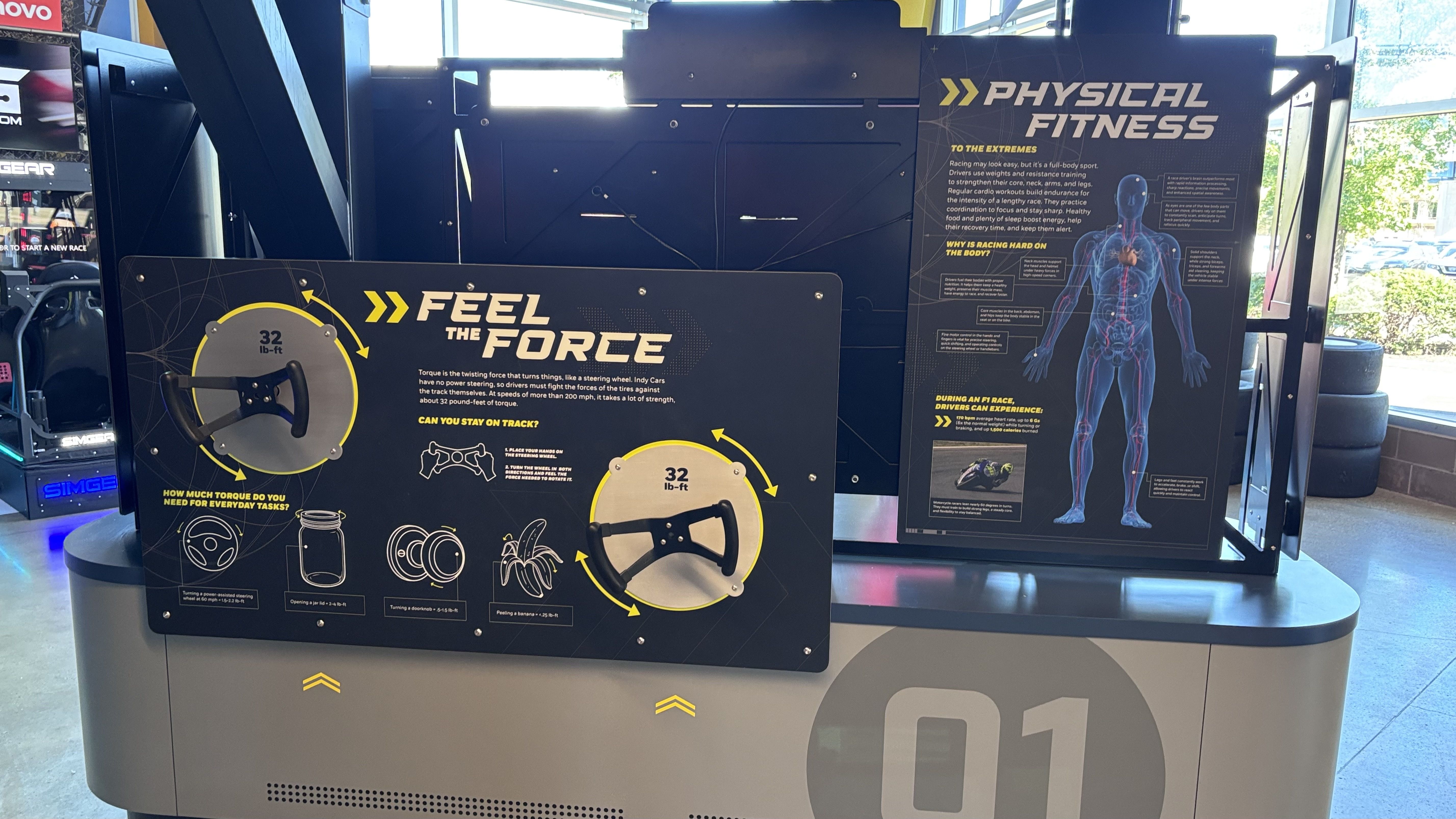 Exhibit panels in a gym display: bold 'FEEL THE FORCE' and 'PHYSICAL FITNESS' signs; a round torque wheel labeled '32 lb-ft' on the left; a blue human anatomy diagram on the right.