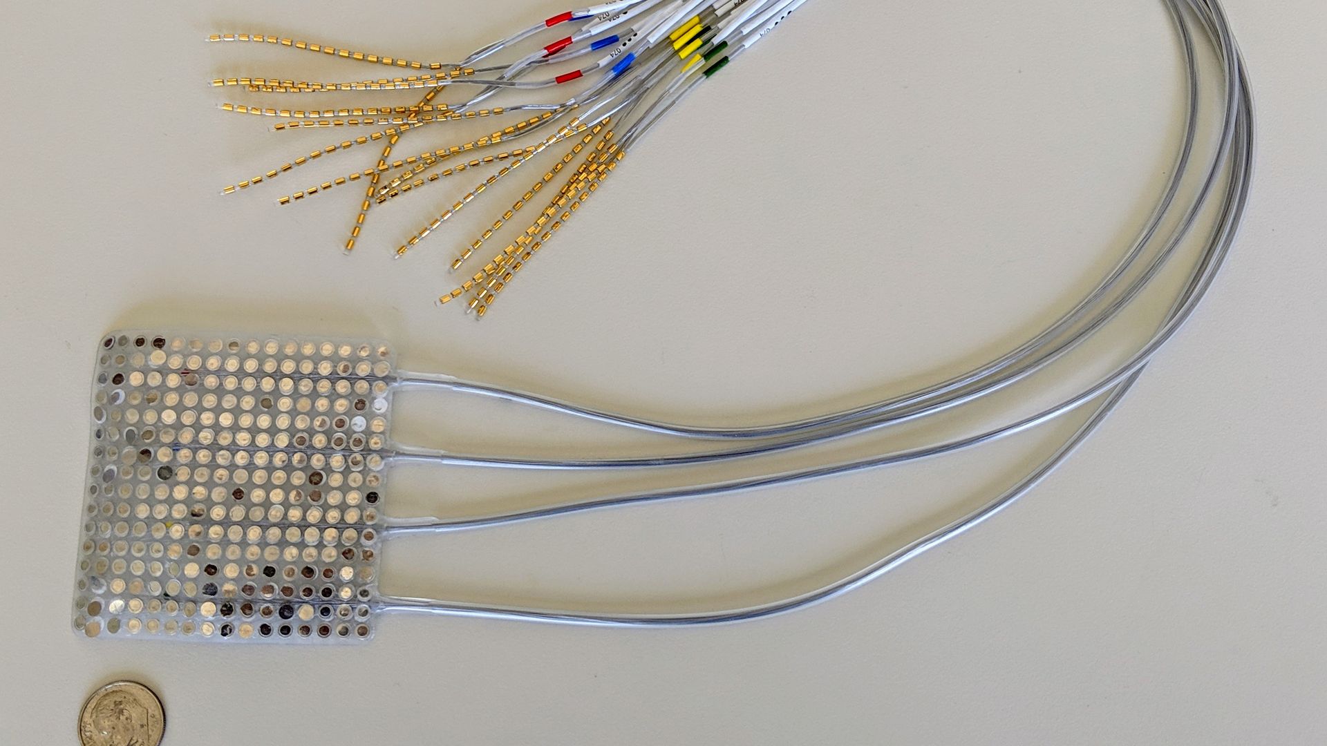 Photo of the electrodes that could be implanted on surface of brain