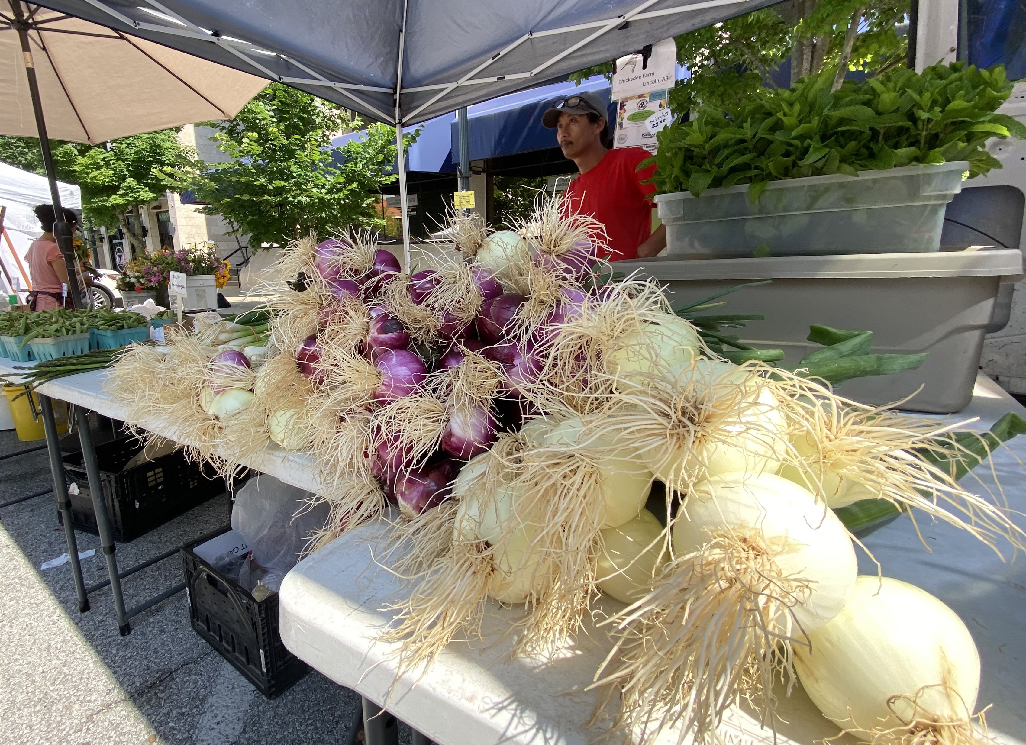 axios.com - Worth Sparkman - Food festivals, farmers markets and more in NWA this spring