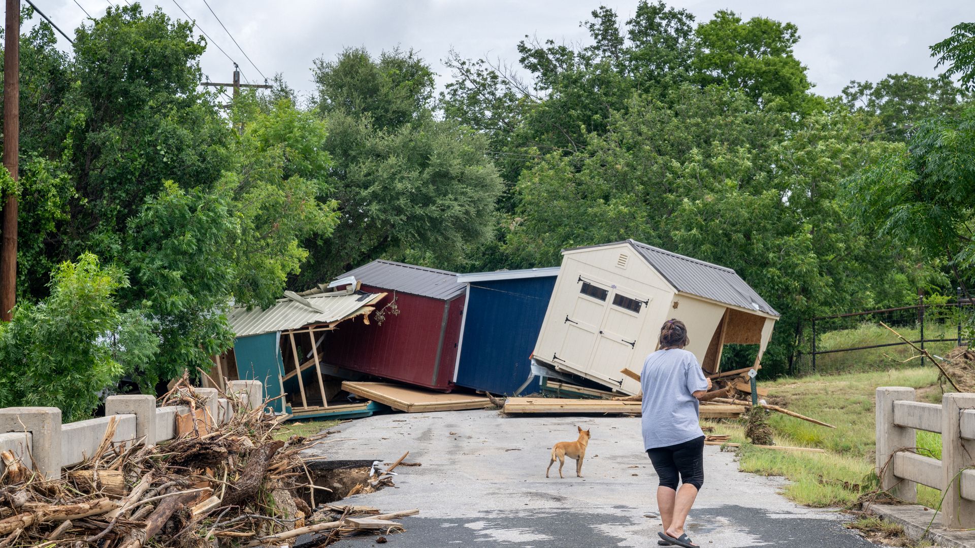 Man in a gray T-shirt walks along a debris-strewn street with toppled sheds, wood debris, and a small tan dog nearby, as green trees and power lines loom overhead under a cloudy sky.