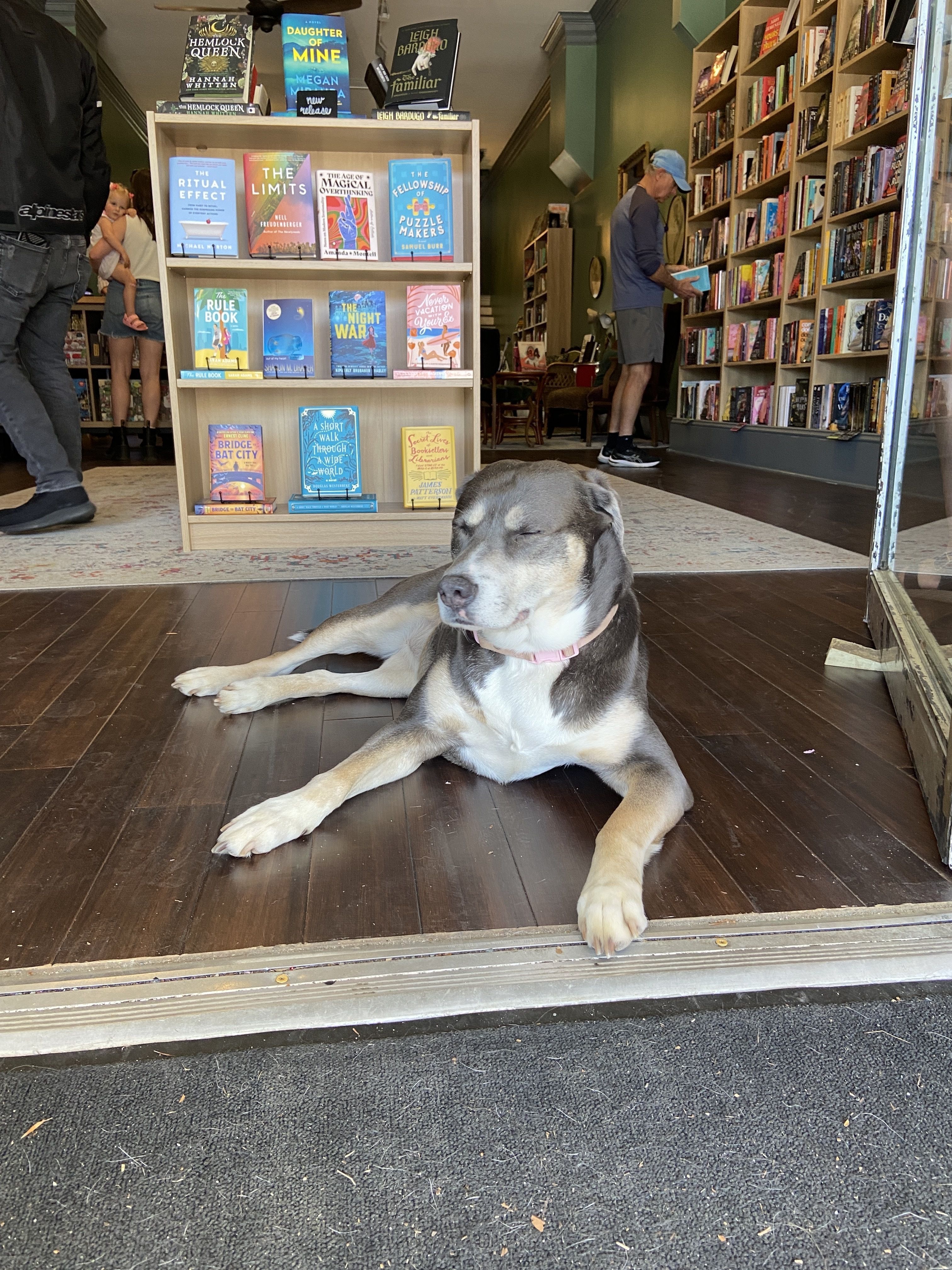 A dog in a bookstore entryway. 