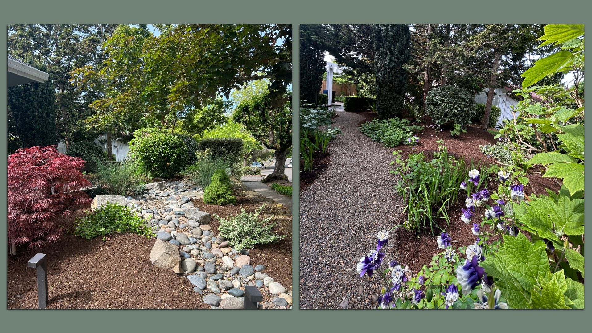 Side by side photos showing a side and front yard filled with a gravel rock path and native bushes.