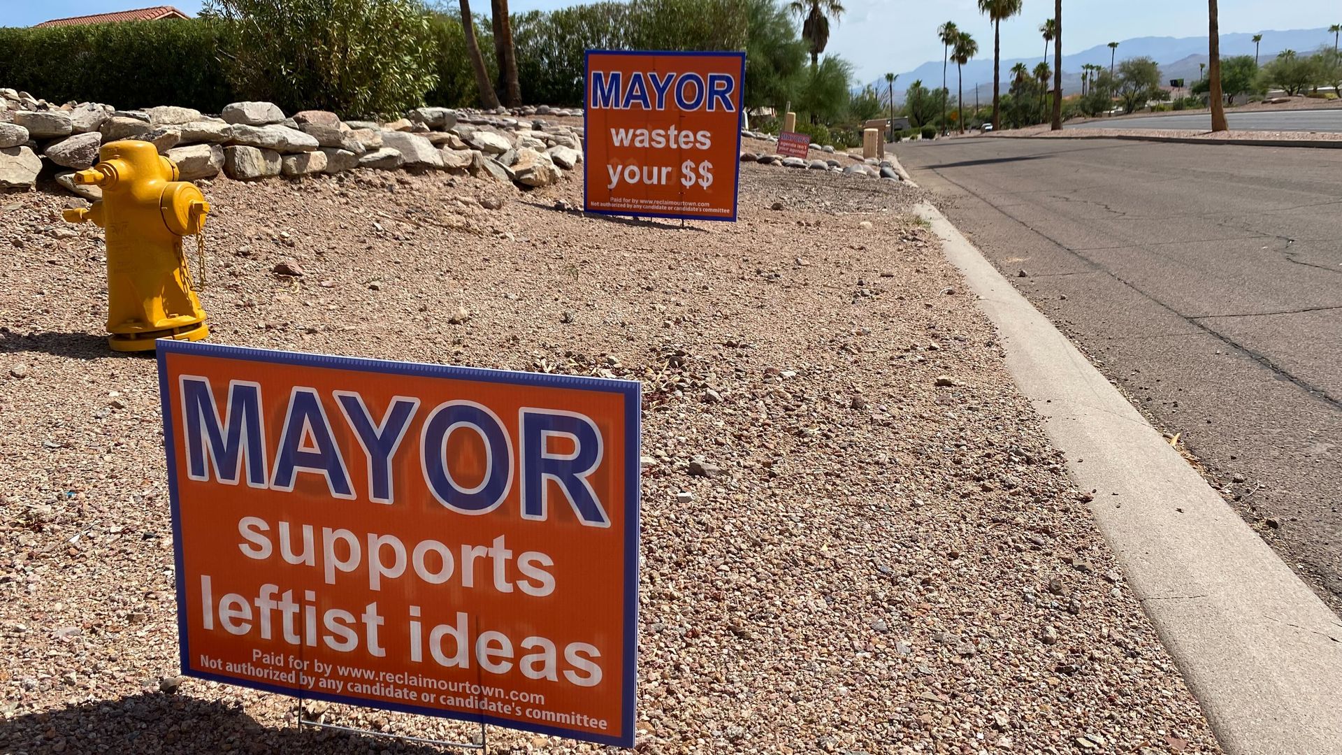 Campaign signs on the side of the road that say "MAYOR supports leftist ideas."