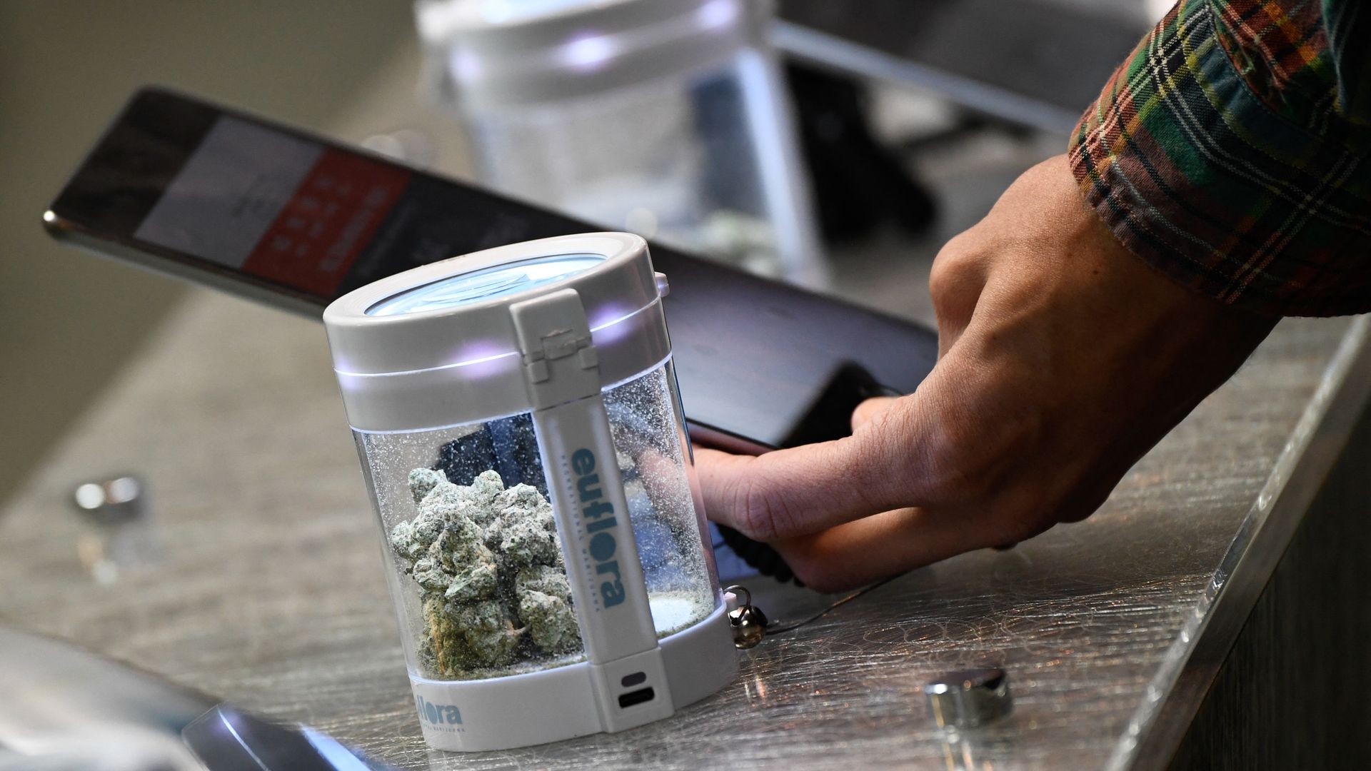 A small, plastic case with an led light containing dried marijuana flower sits next to a small portable pad, while a hand gestures toward the pad.