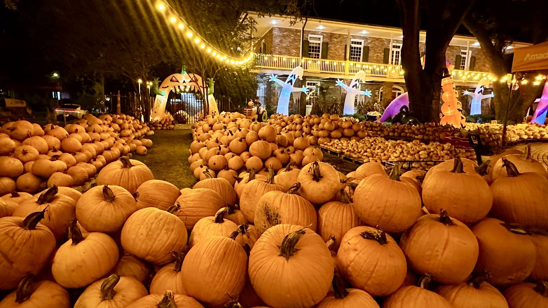 Night view of a Halloween pumpkin display: countless pumpkins cover the ground in front of a brick house, string lights overhead, and blue ghost inflatables and other decorations.