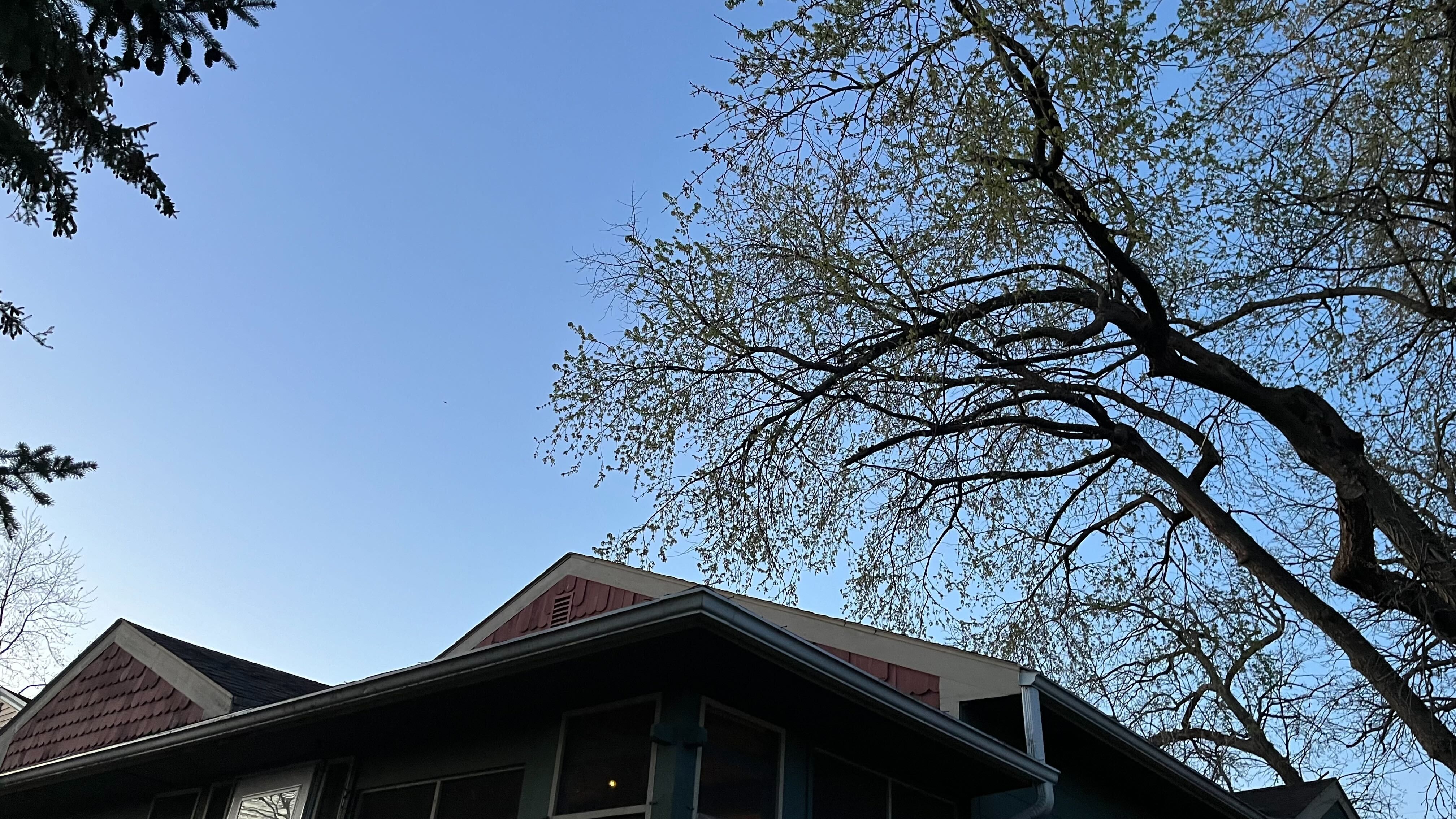 A tree branch hangs over the roof of a home.
