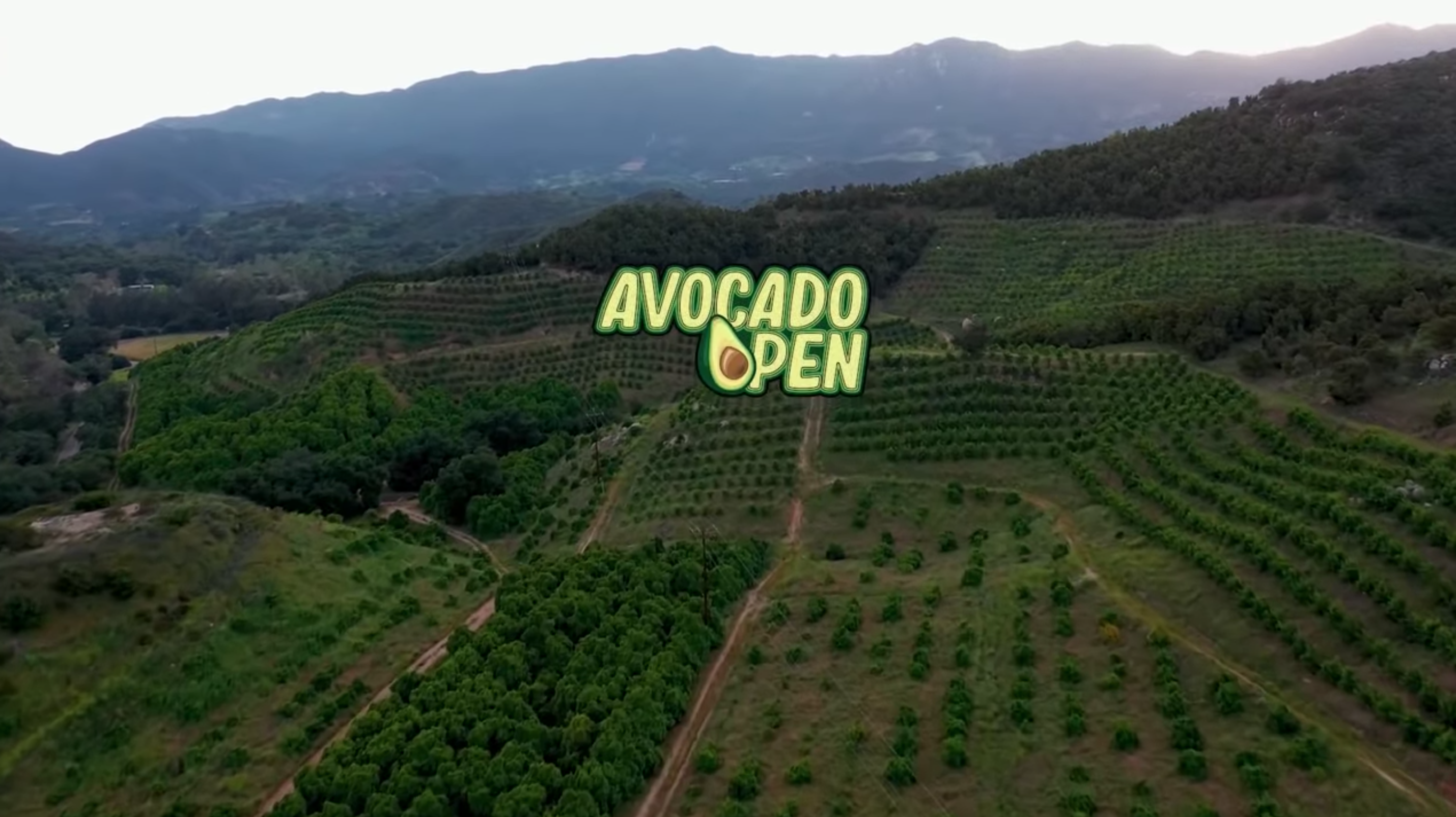 avocado open title card
